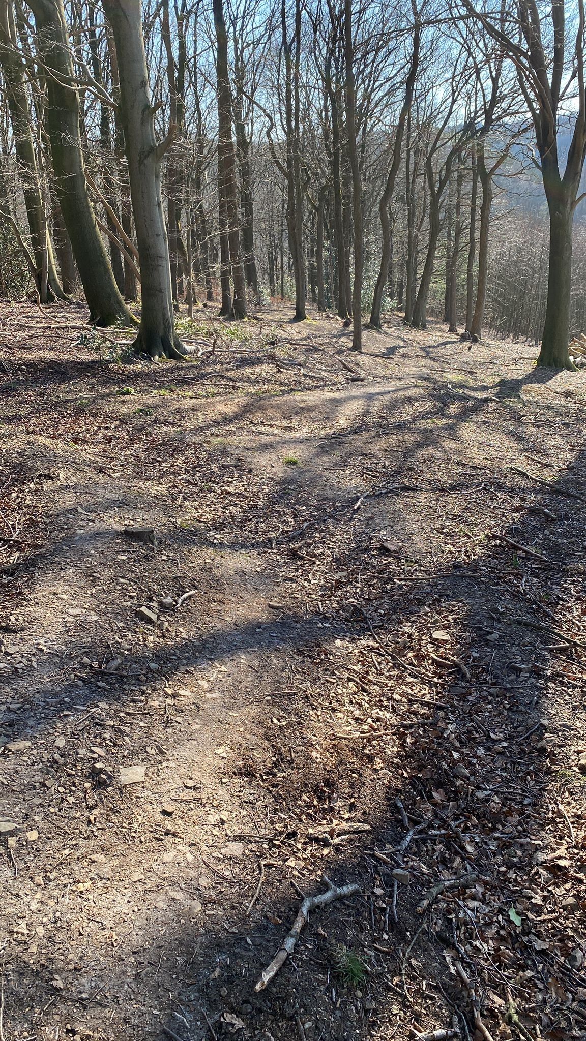 On Trail 2.jpg