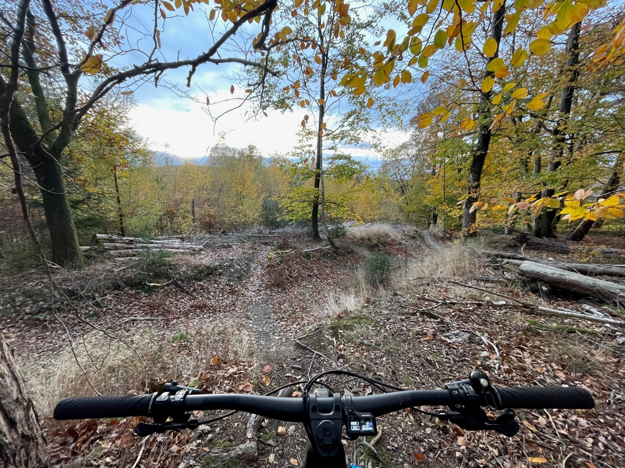 On trail 2.jpg