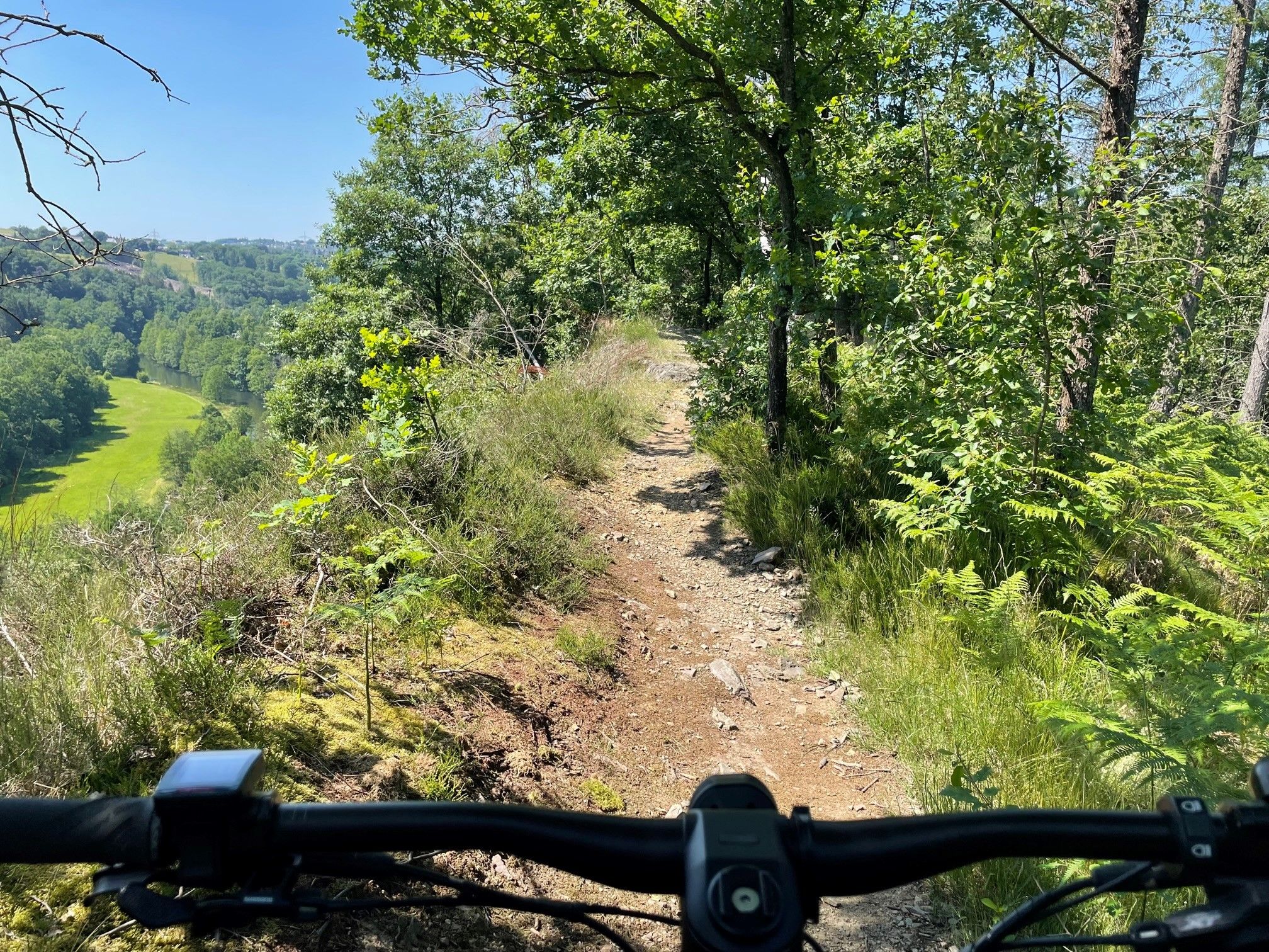 On Trail 3.jpg