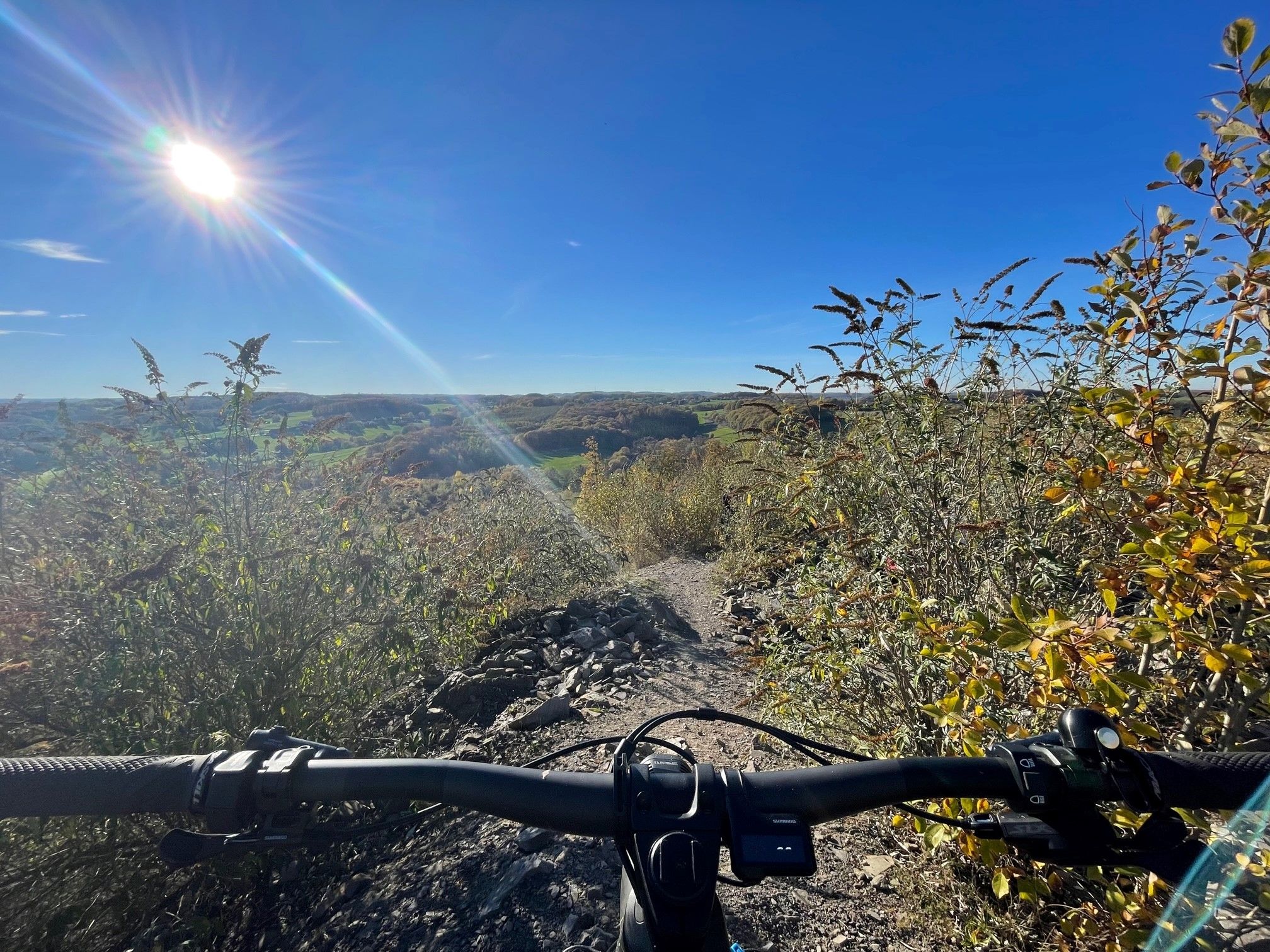 On Trail 3.jpg