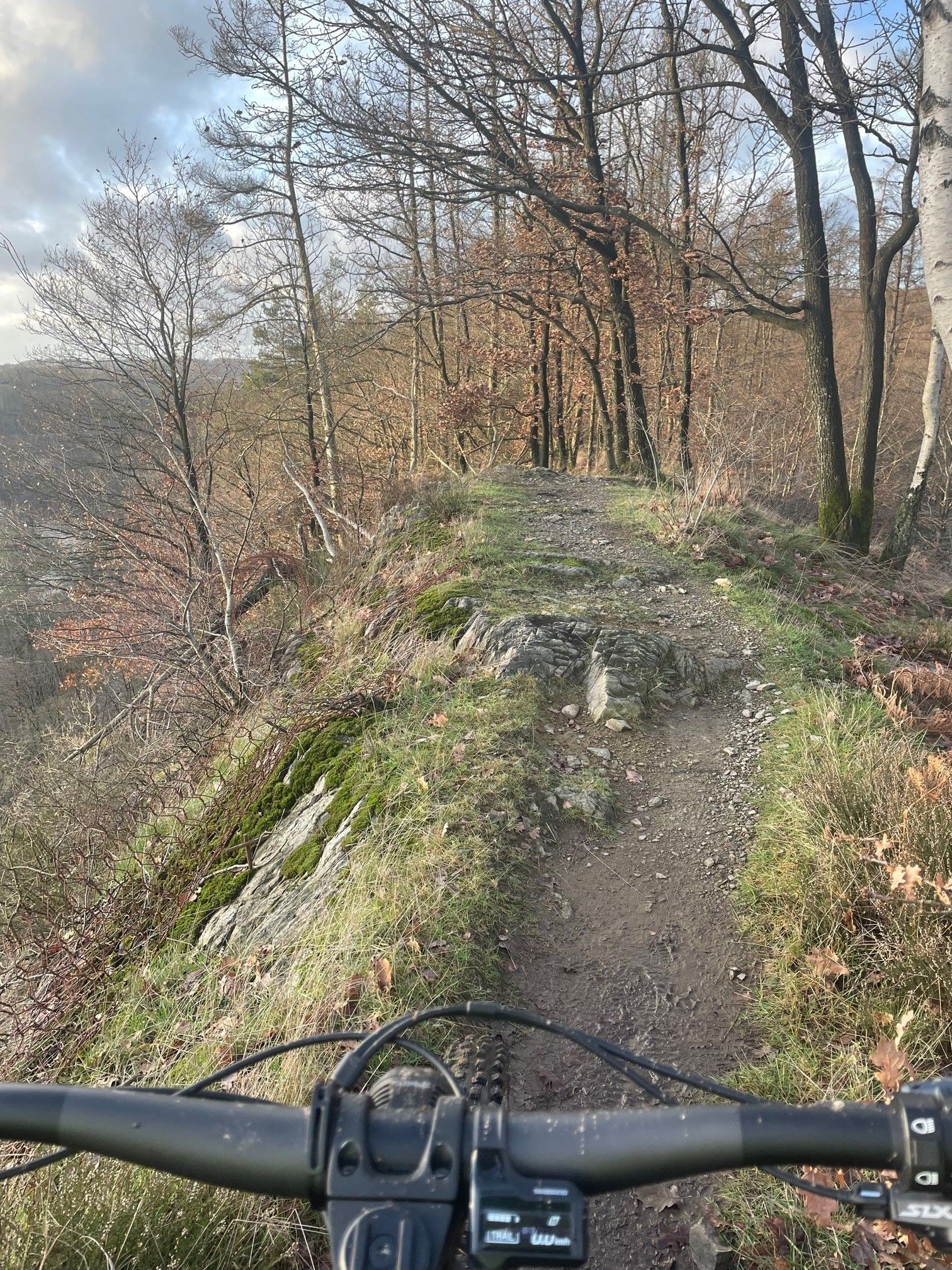 On Trail 4.jpg