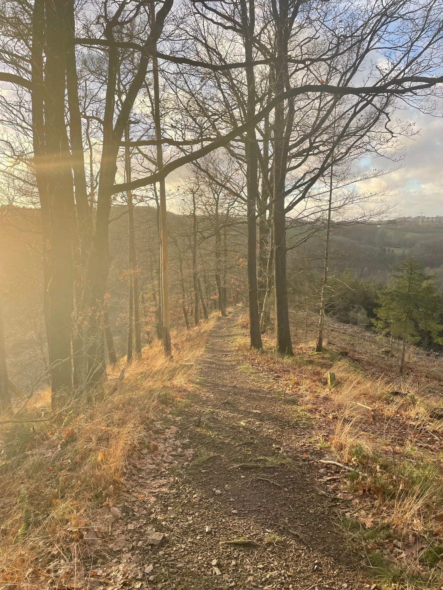 On Trail 5.jpg