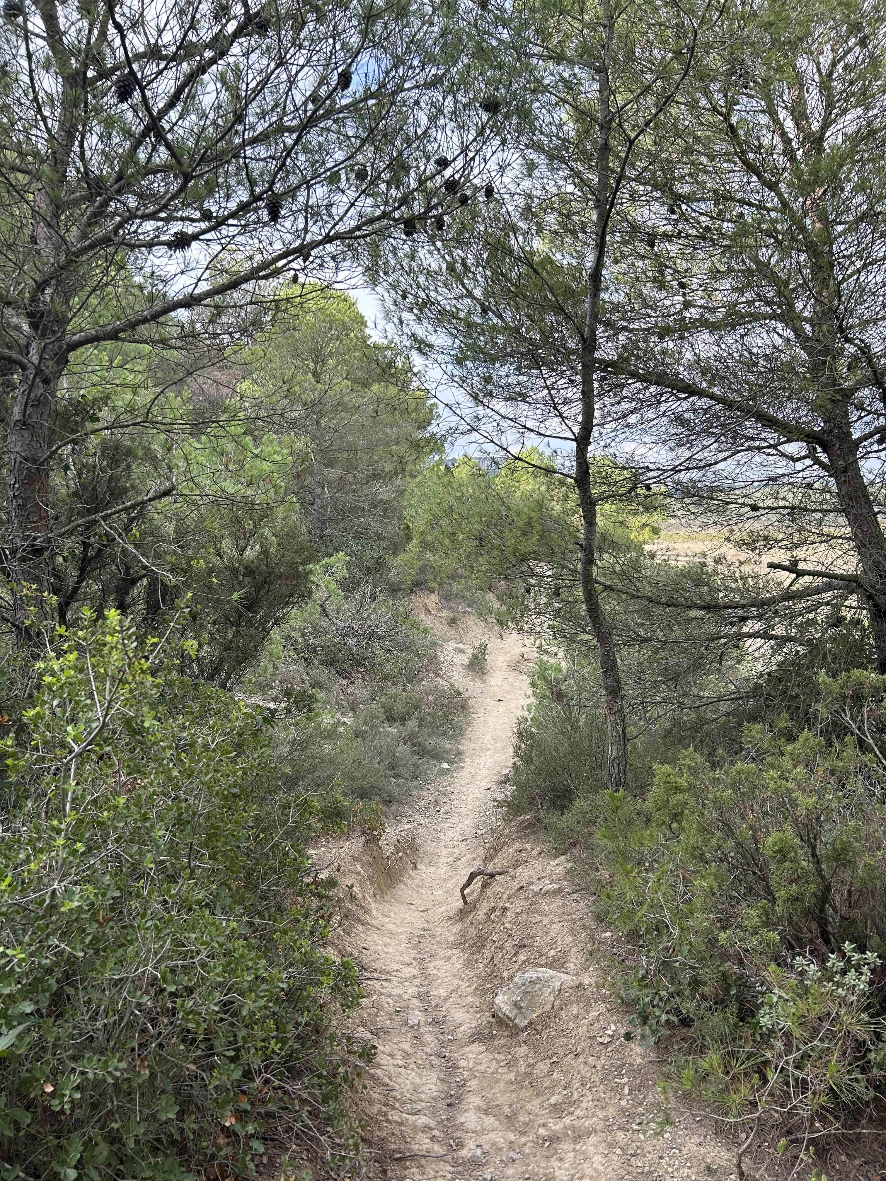 on Trail 6.jpg