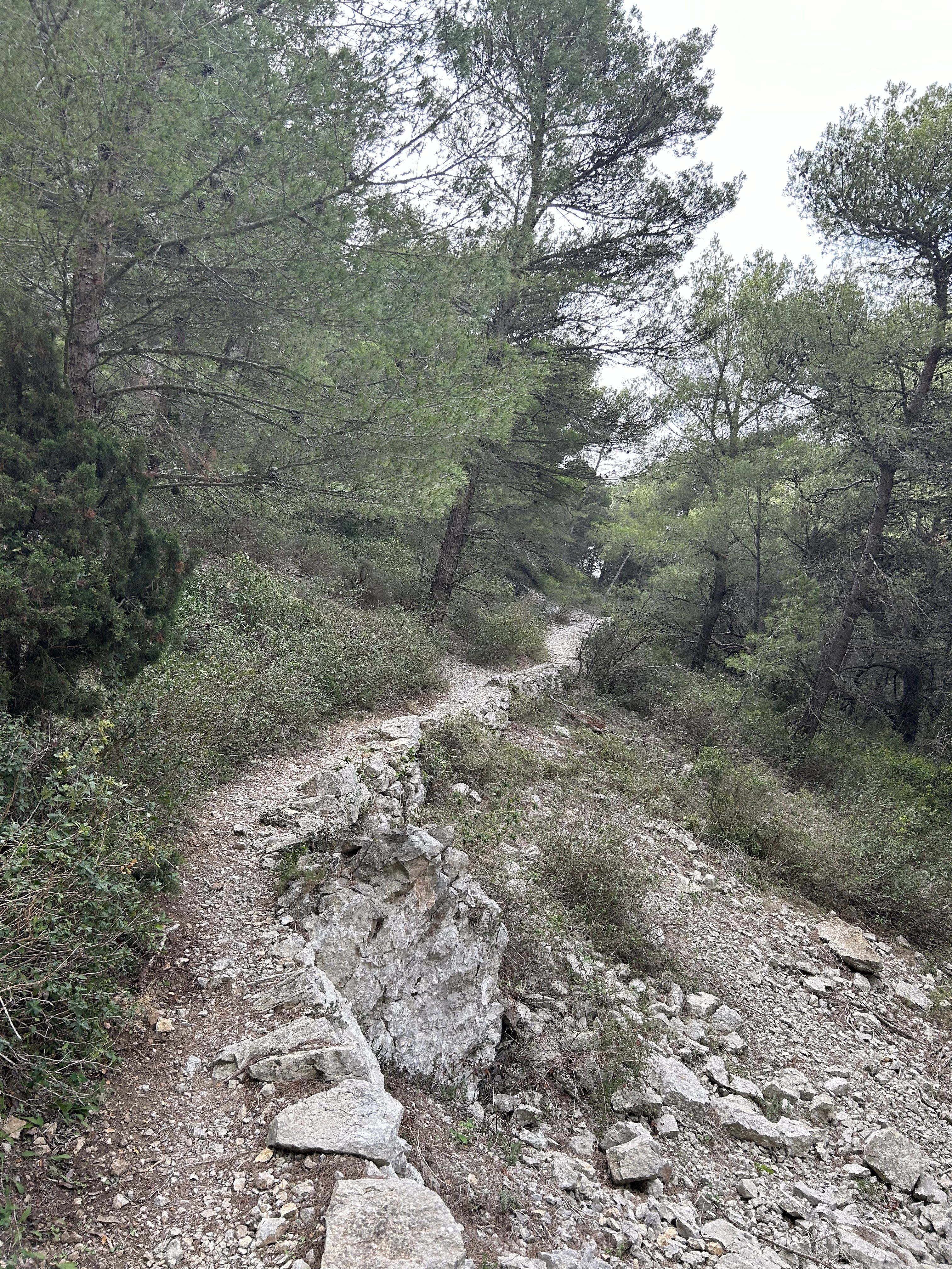 on Trail 7.jpg