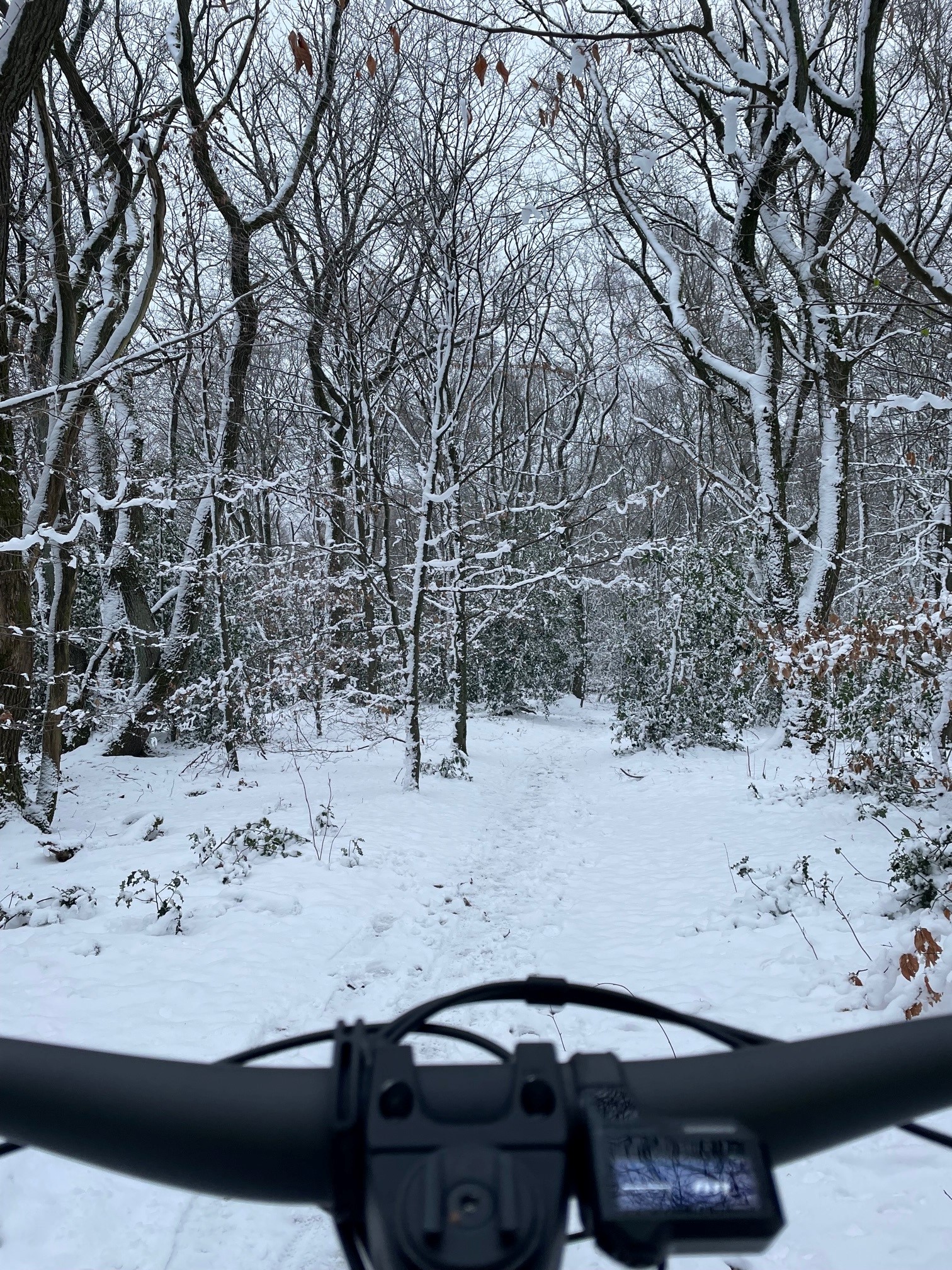 On Trail im Schnee 1.jpg