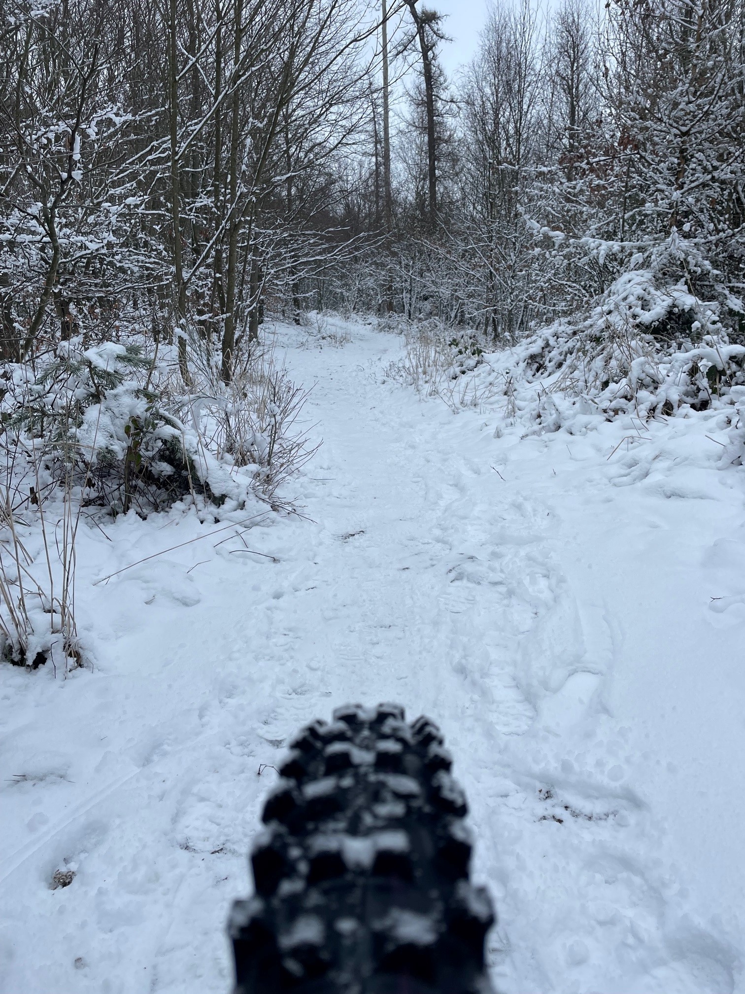 On Trail im Schnee 2.jpg