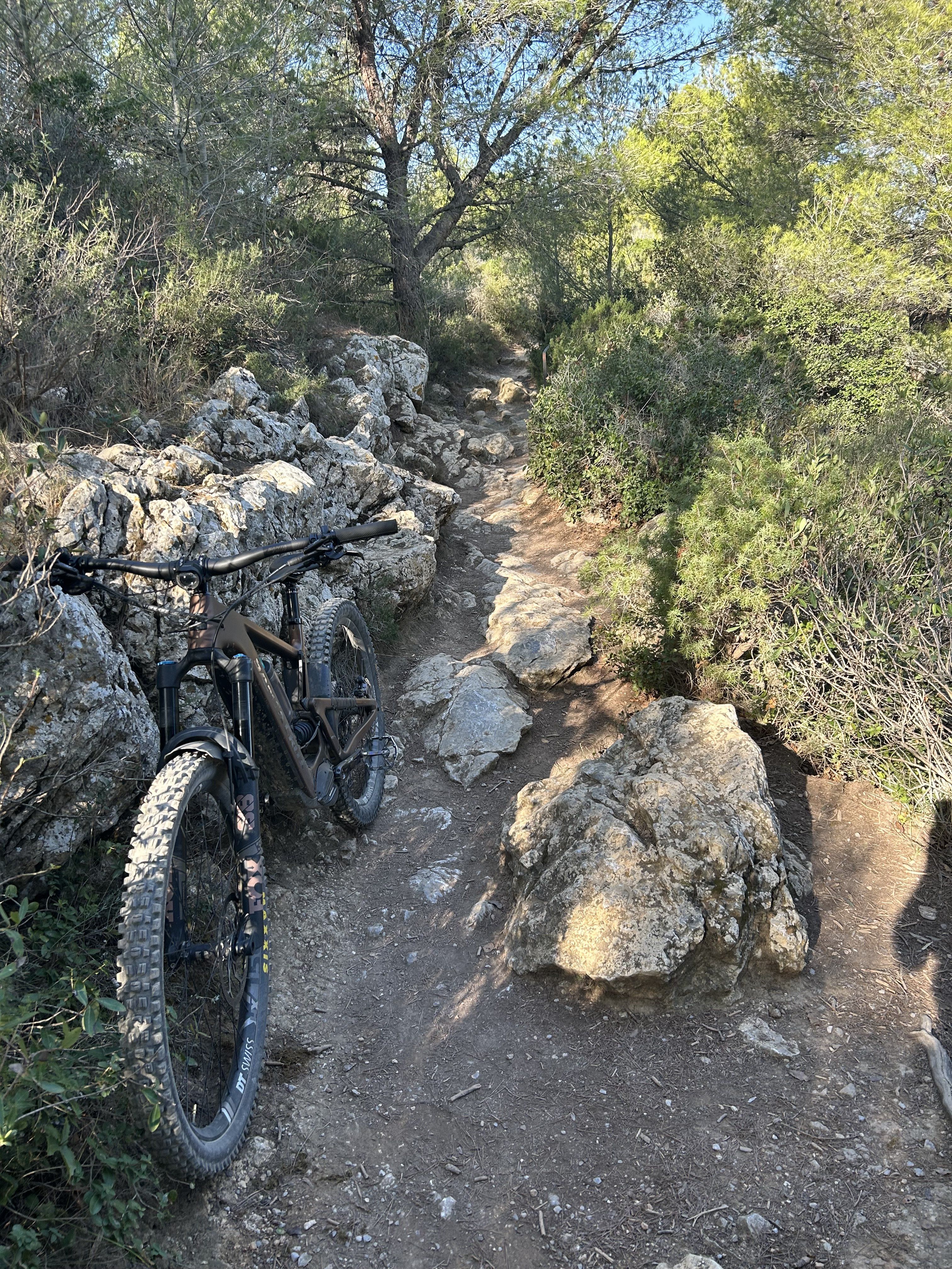 on Trail1.jpg