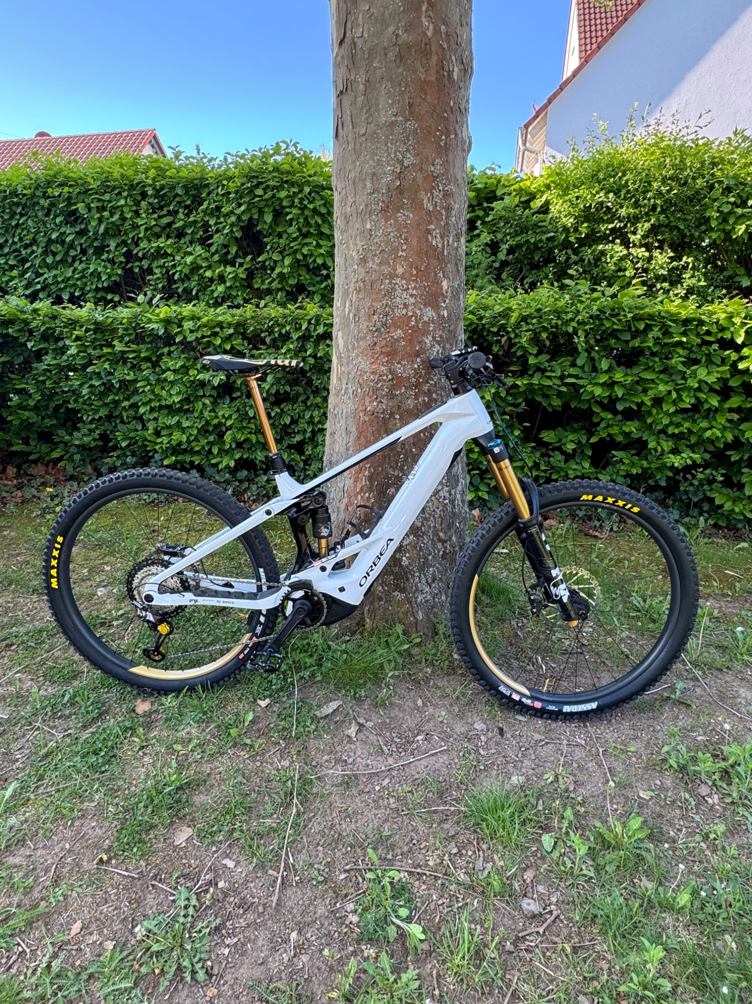 Orbea_Wild_Team.jpeg