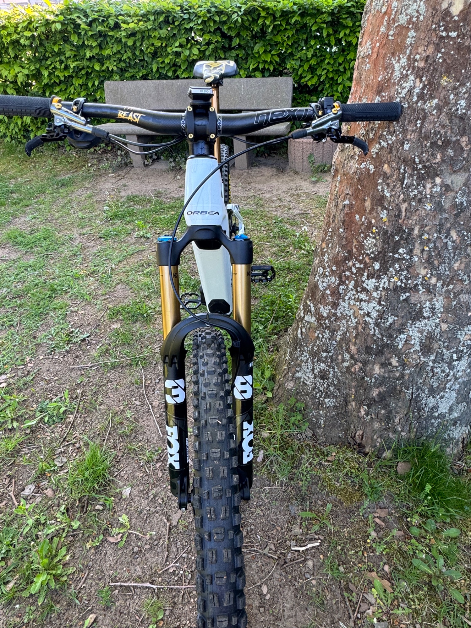 Orbea_Wild_Team_TheBeast.jpeg