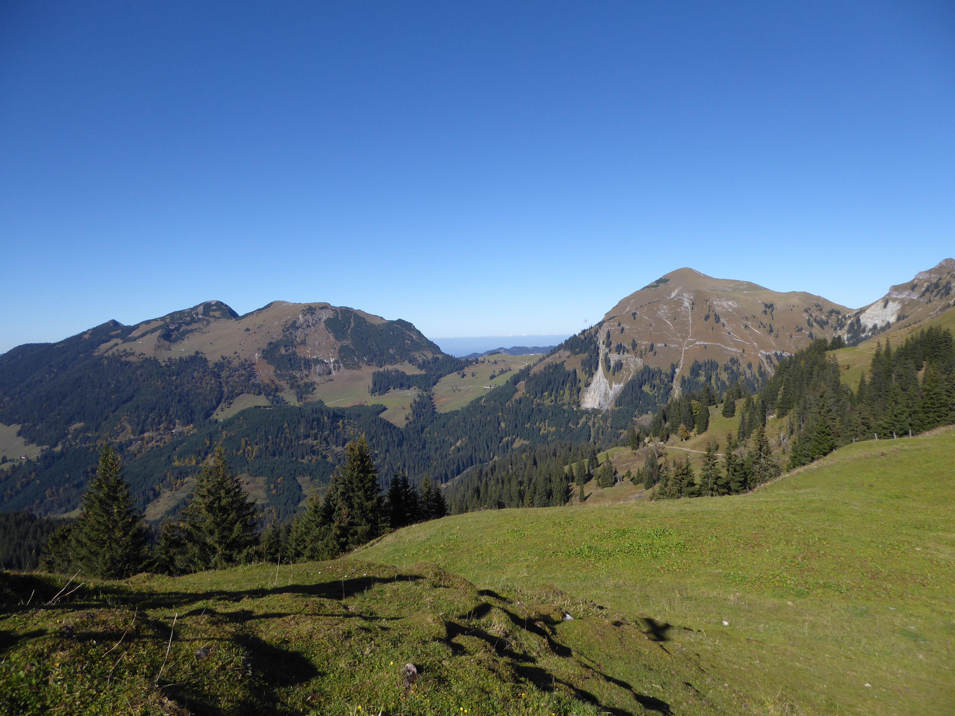 P1010328.JPG