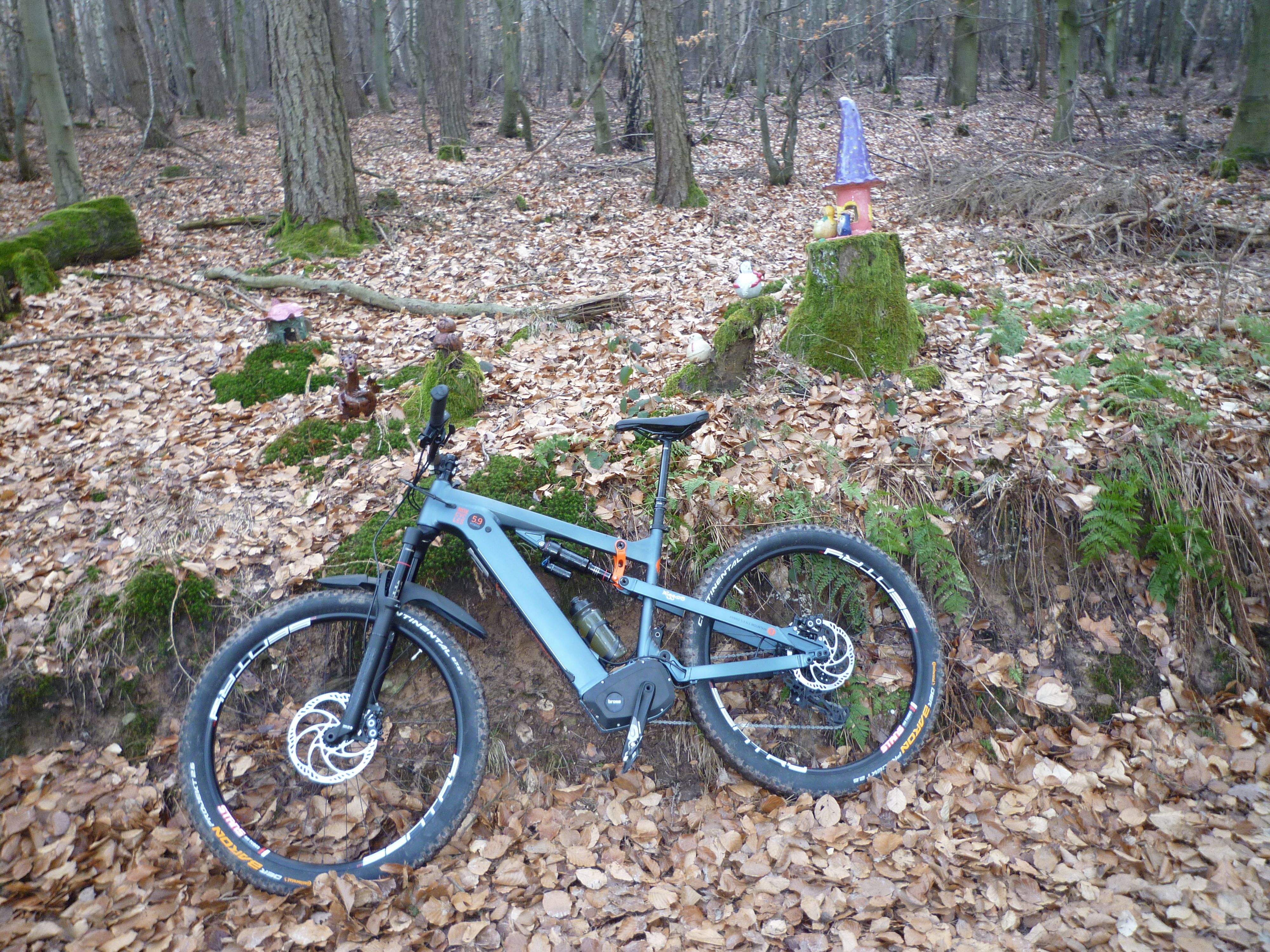 P1010720.JPG