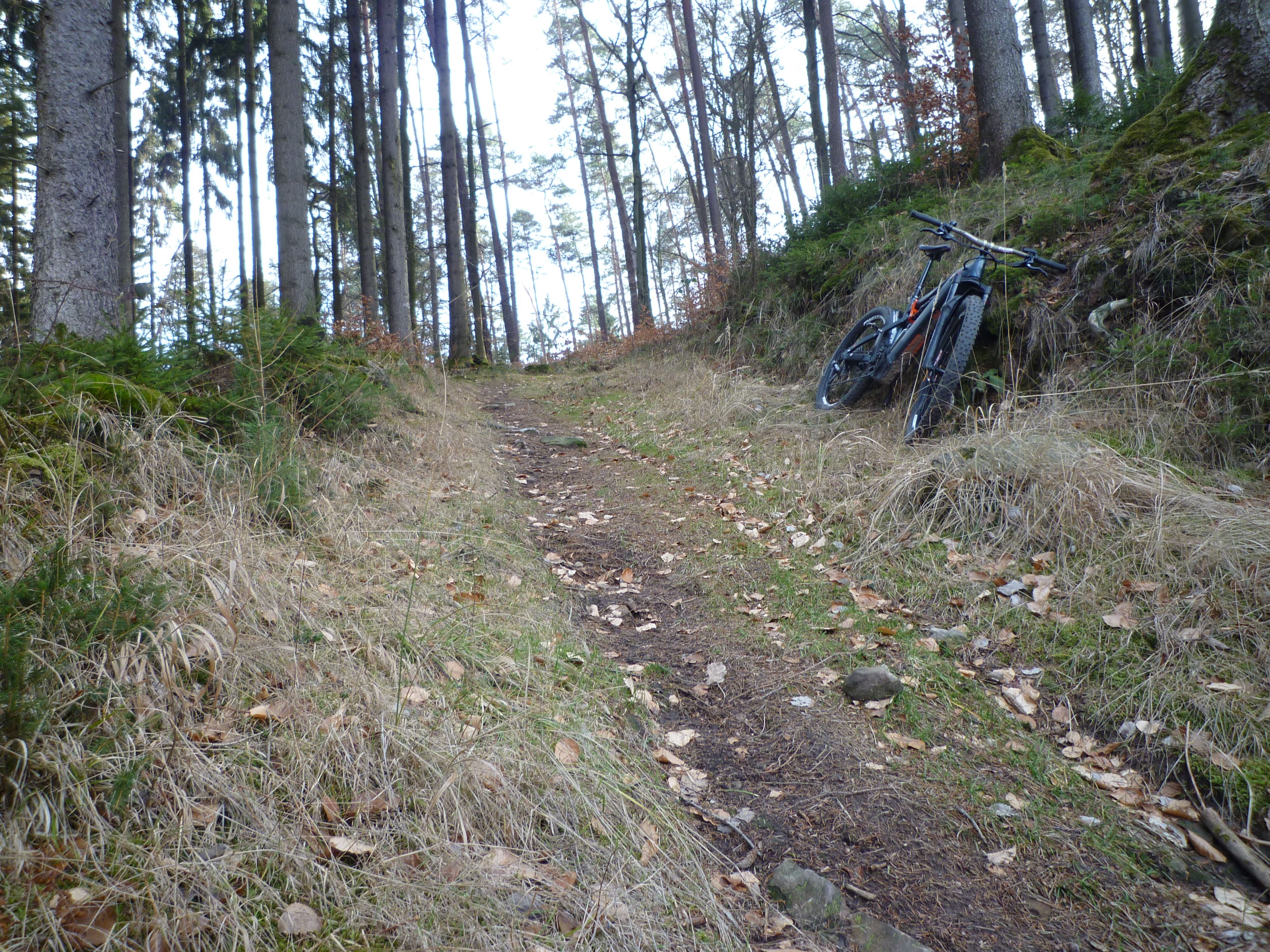 P1010735.JPG