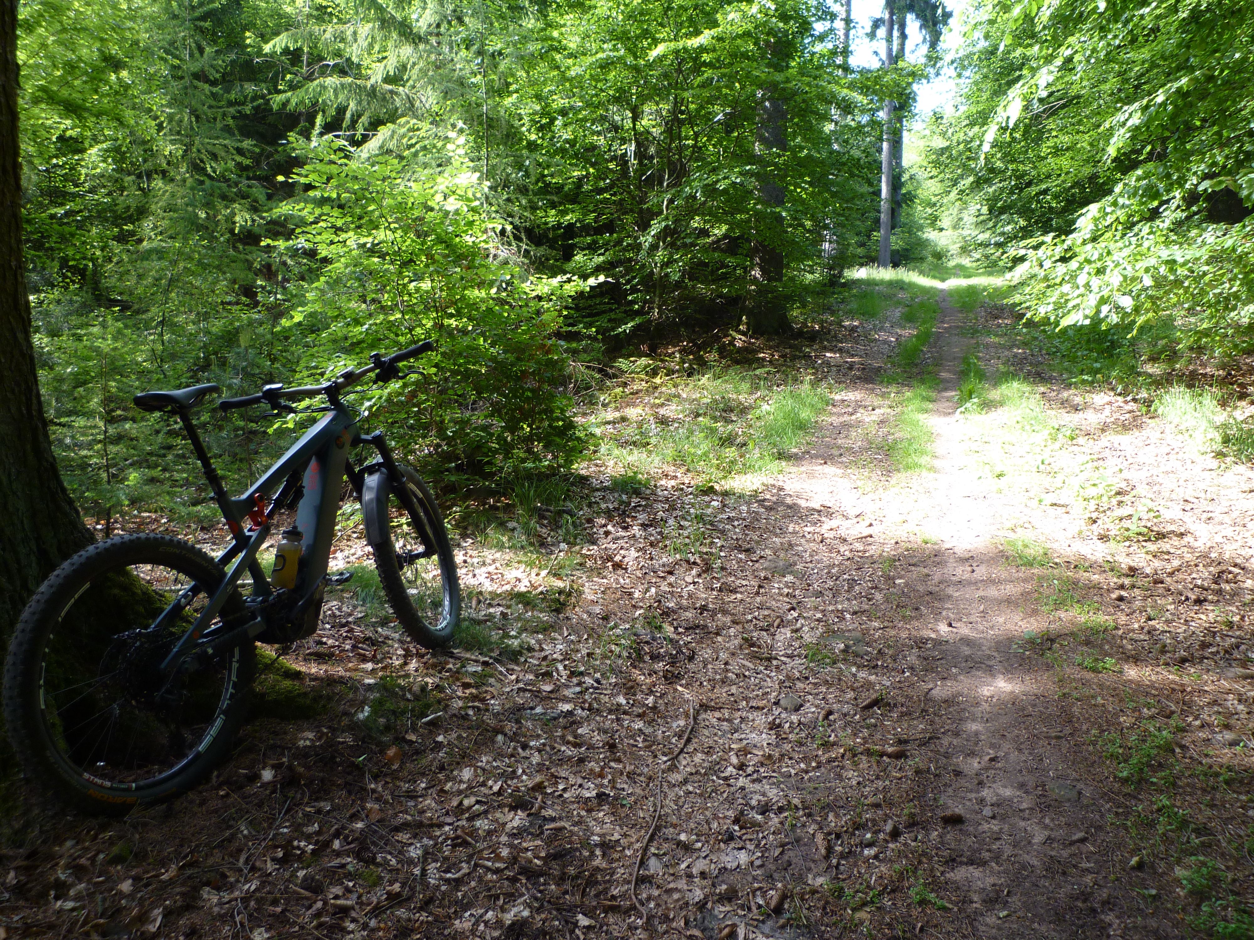 P1010854.JPG