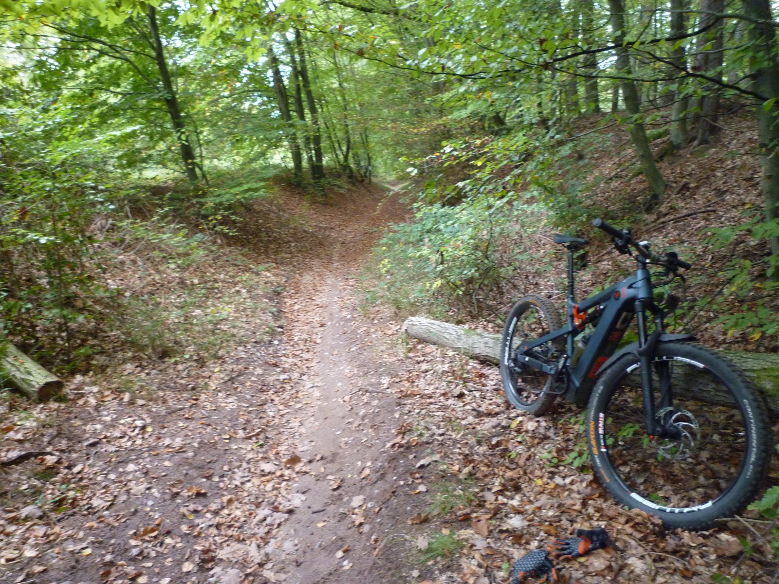 P1020091.JPG