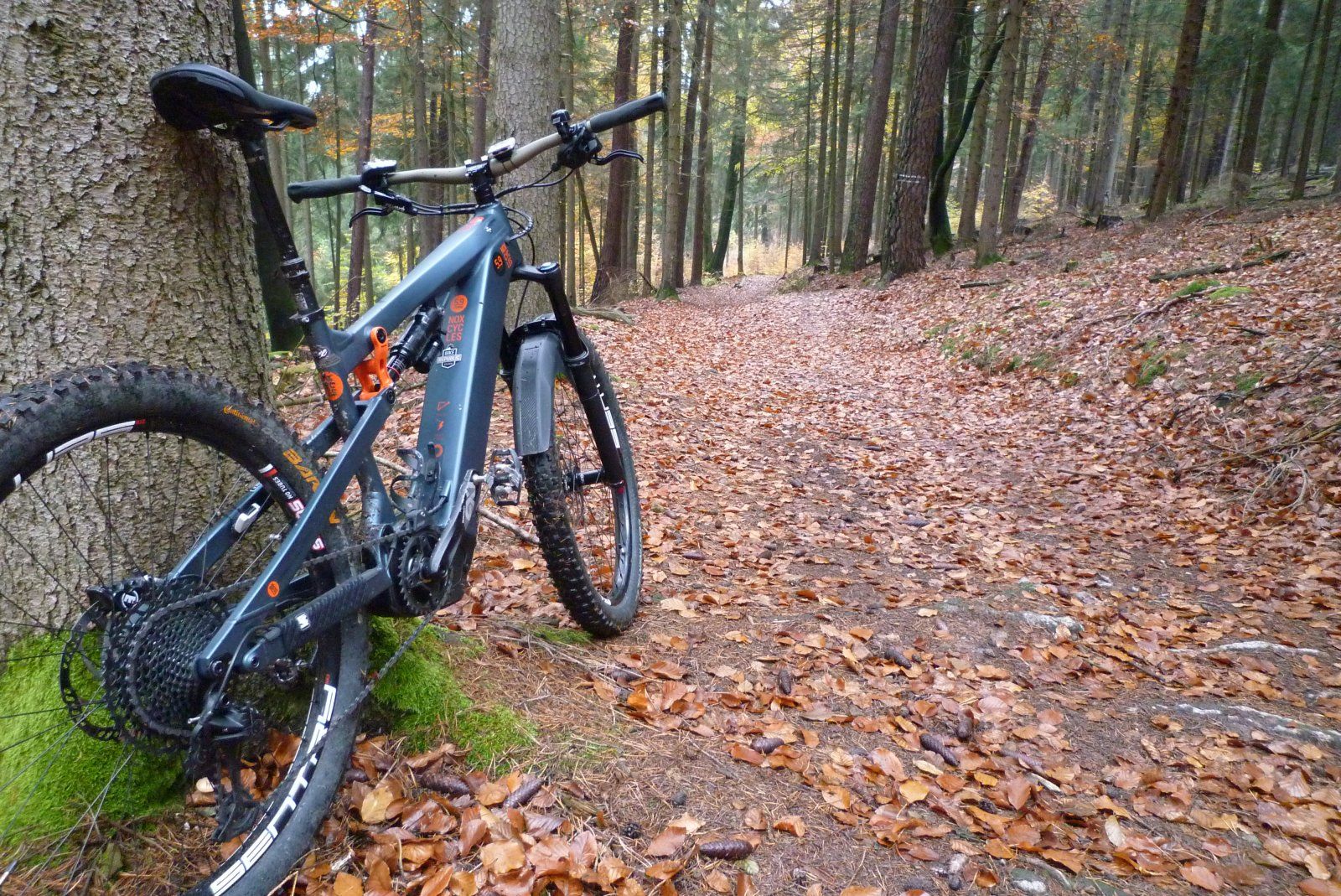 P1020121.JPG