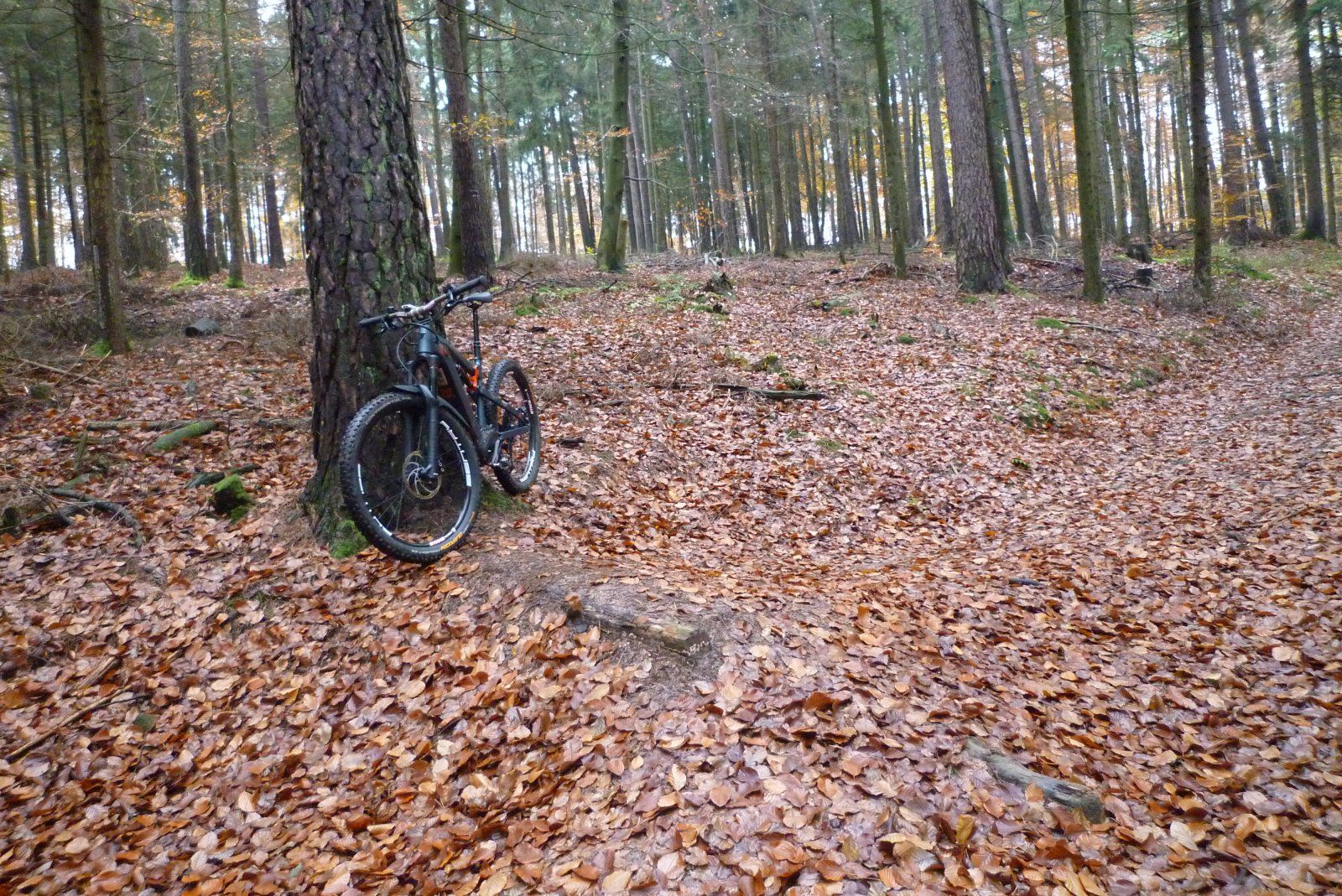 P1020122.JPG