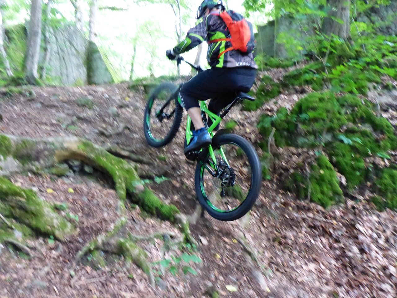 P1020167.jpg
