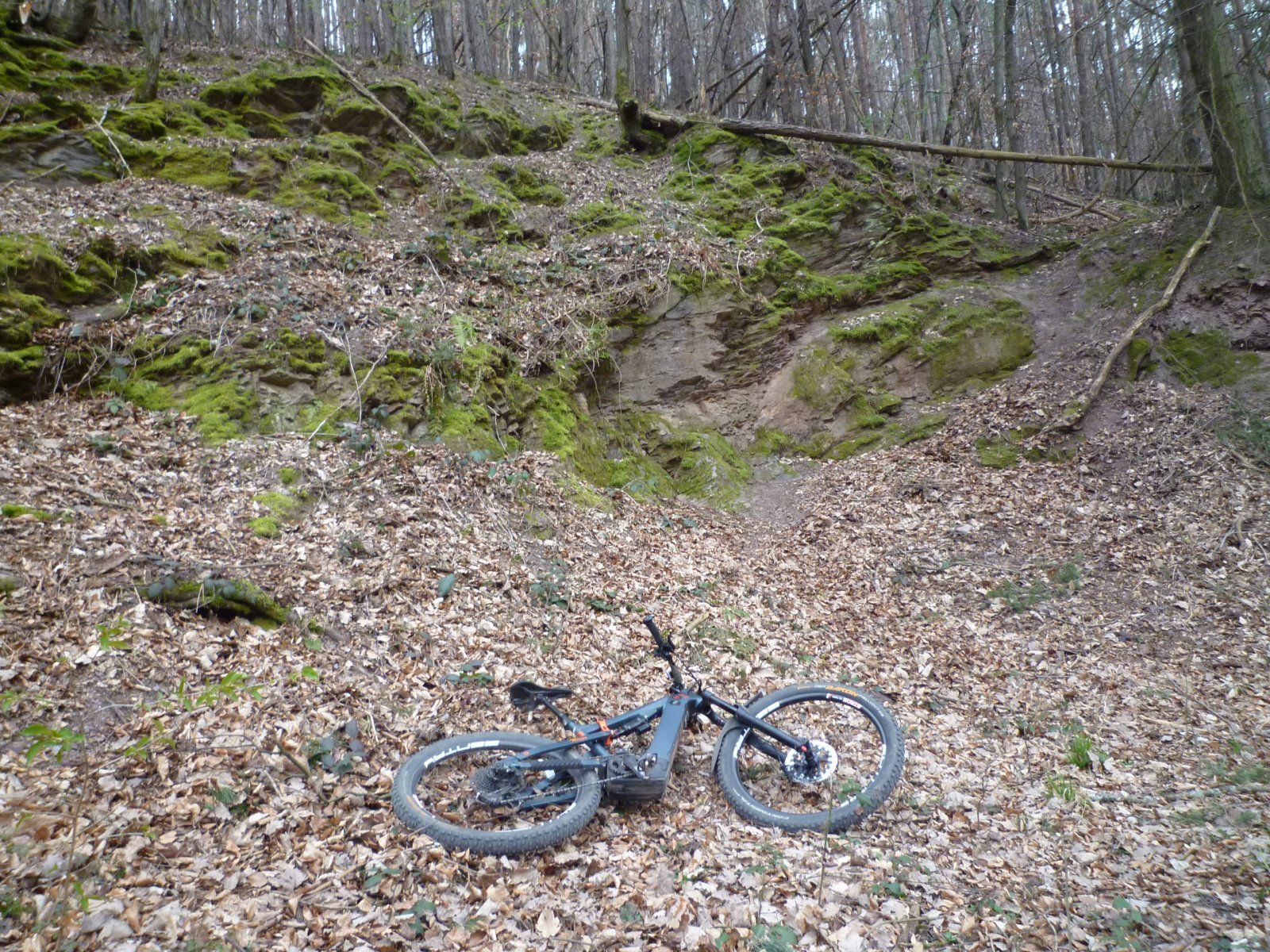 P1020203.JPG