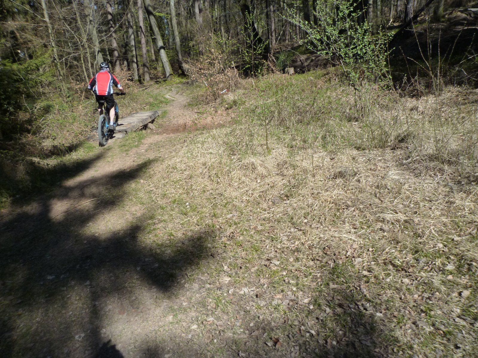P1020229.JPG