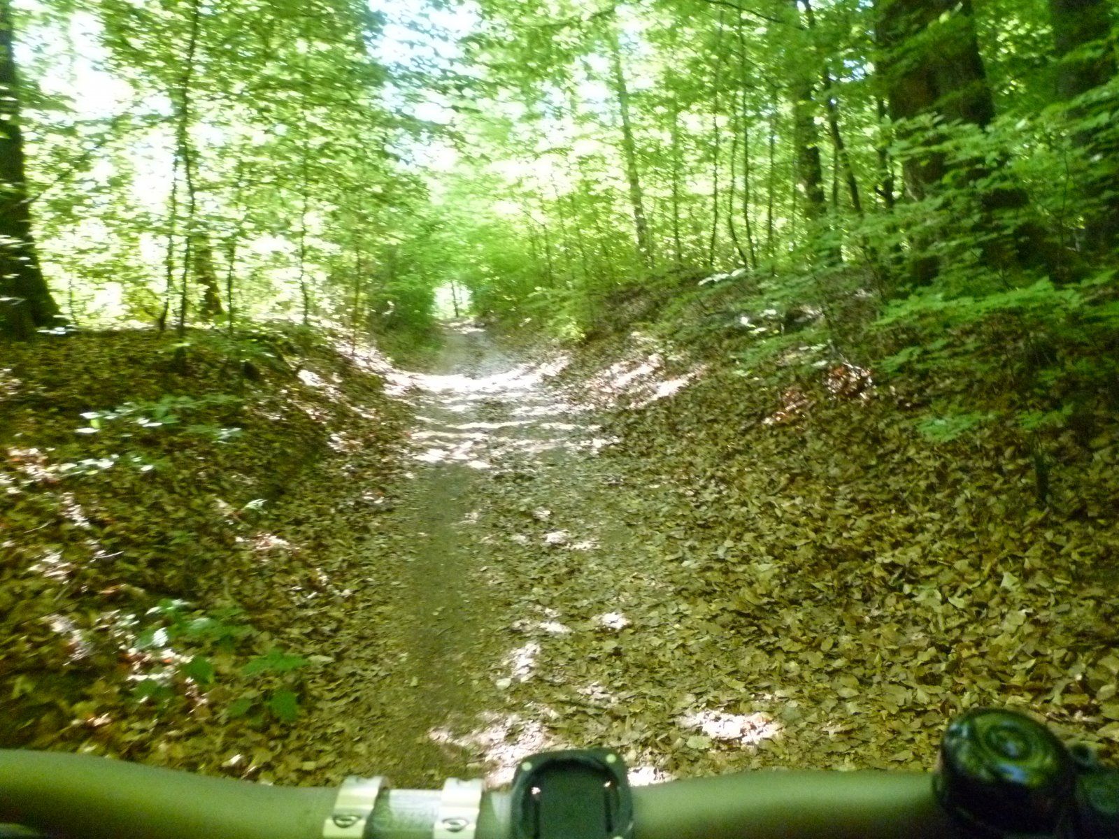P1020246.JPG