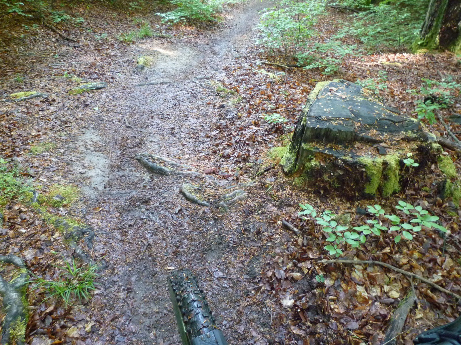 P1020258.JPG