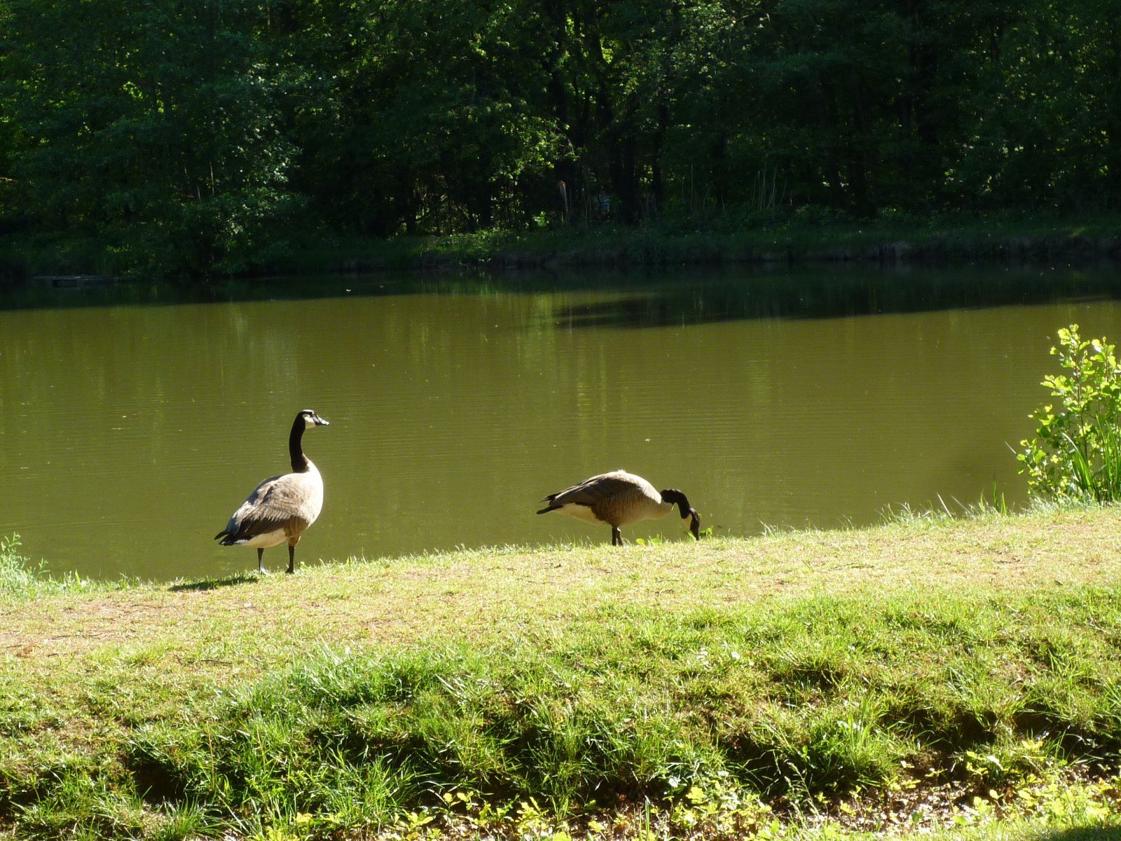 P1020270.JPG