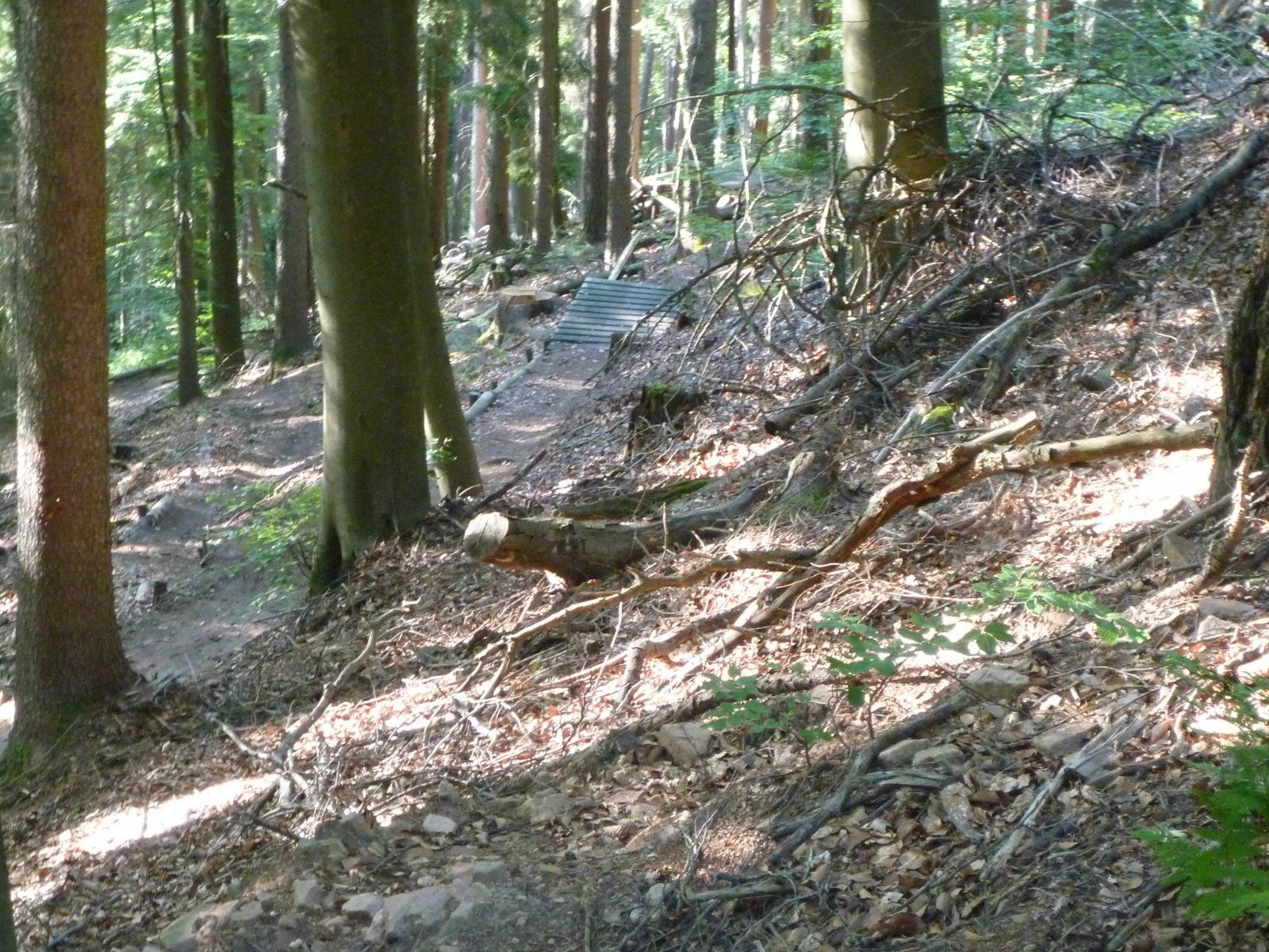 P1020347.JPG