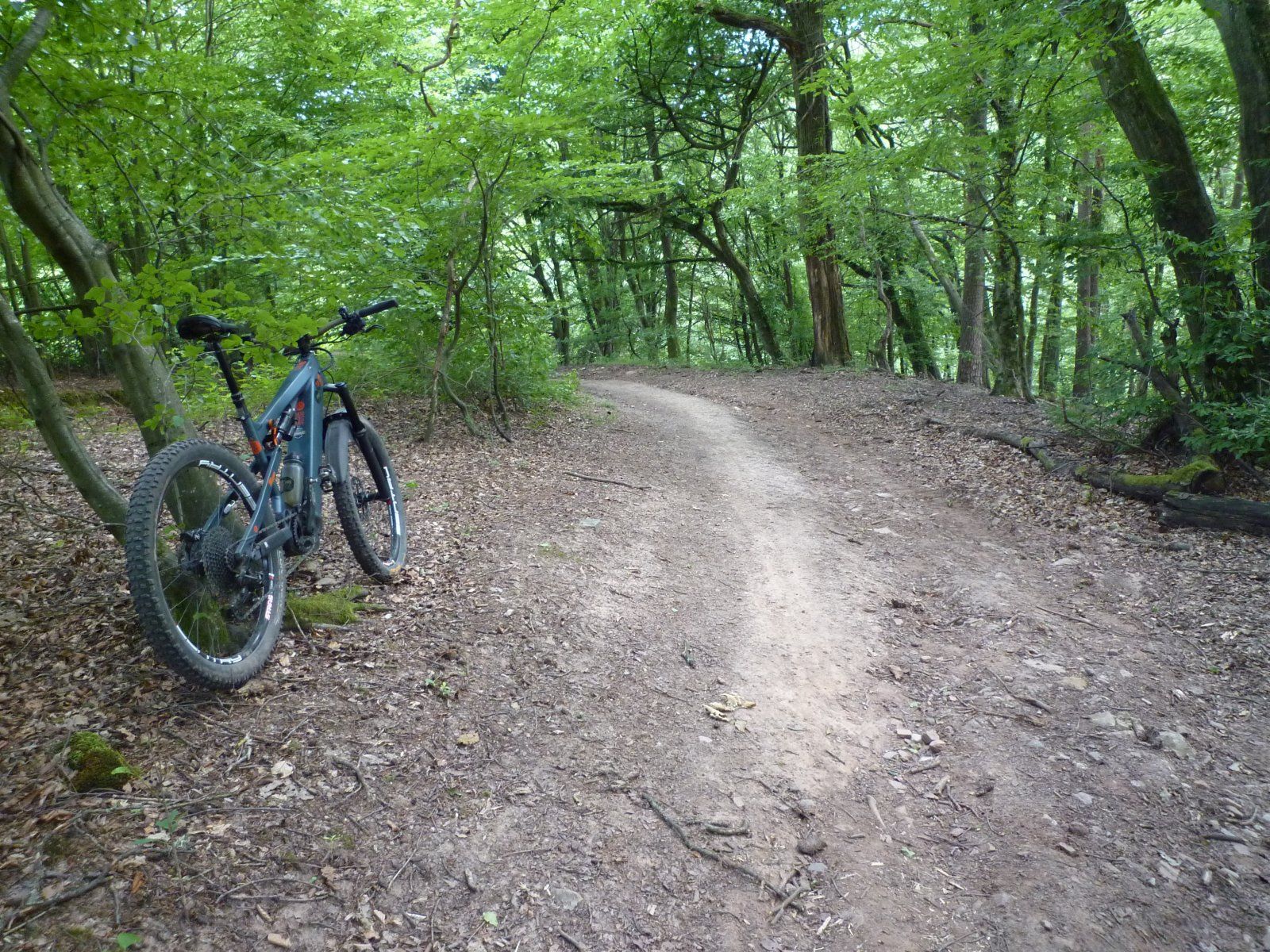 P1020349.JPG