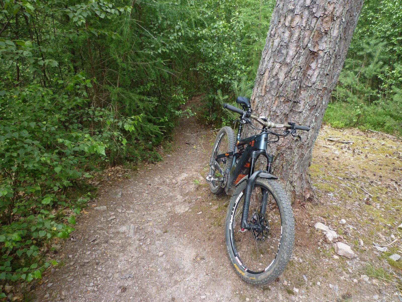 P1020355.JPG