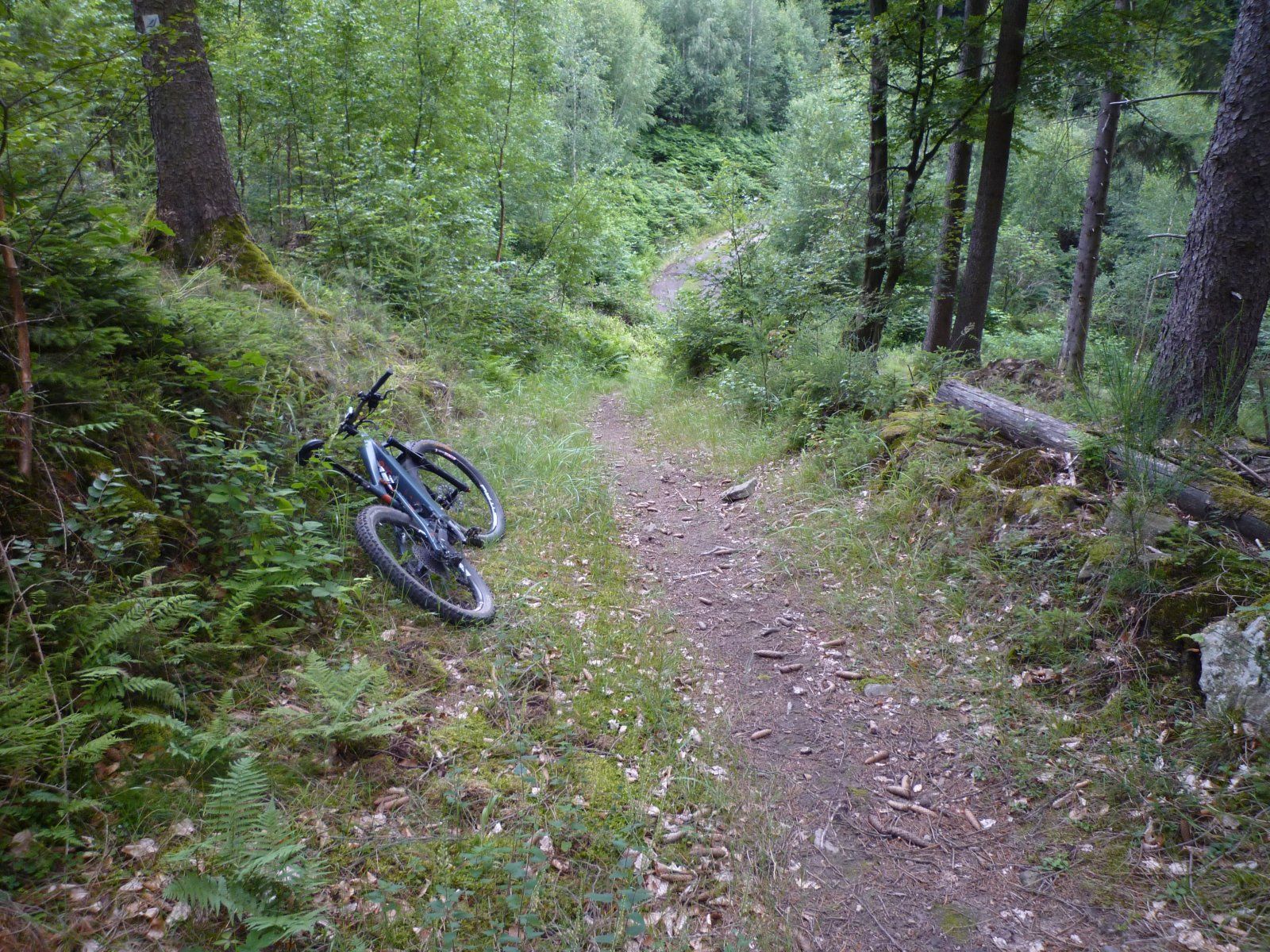 P1020363.JPG