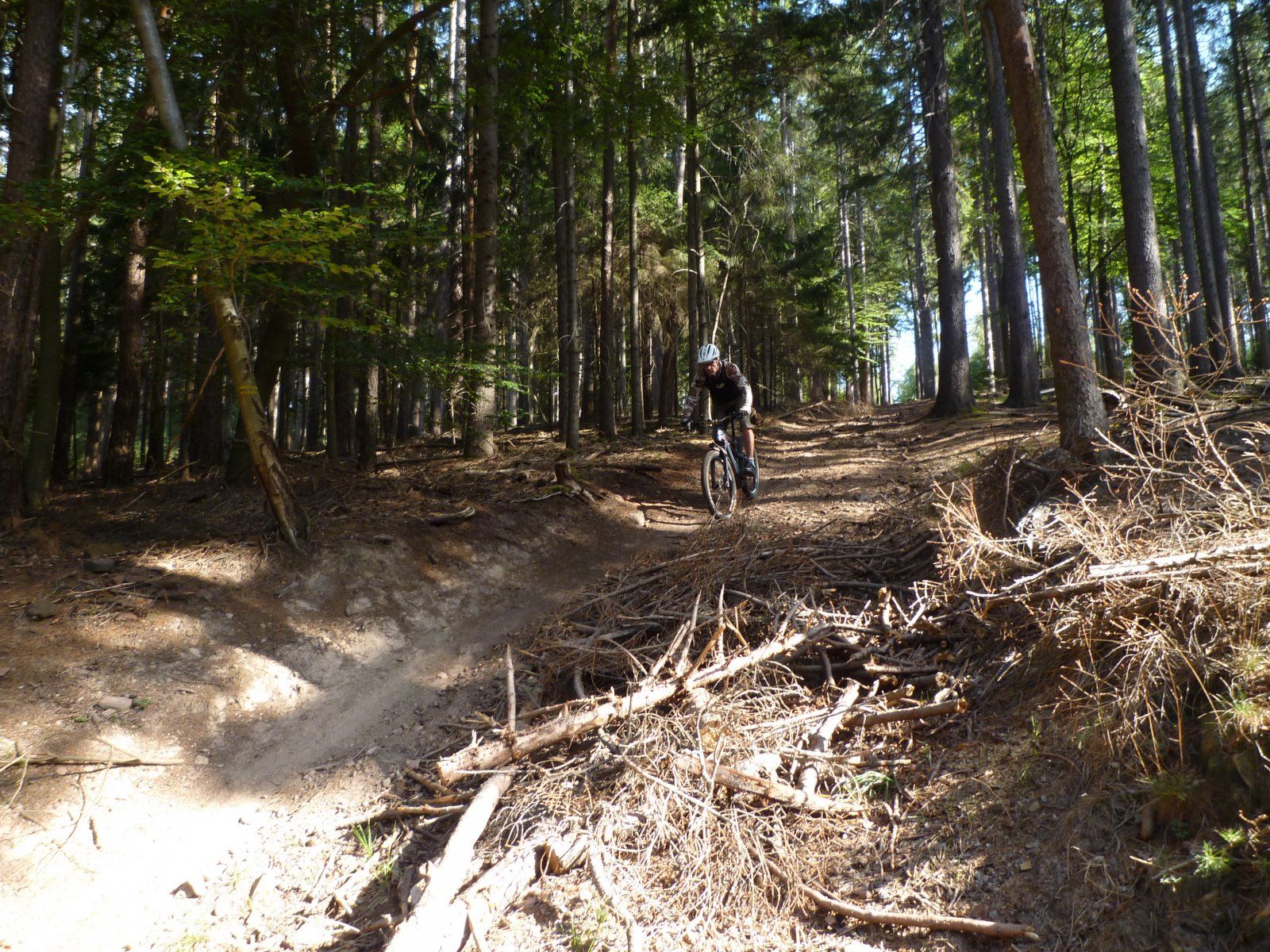 P1020436.JPG