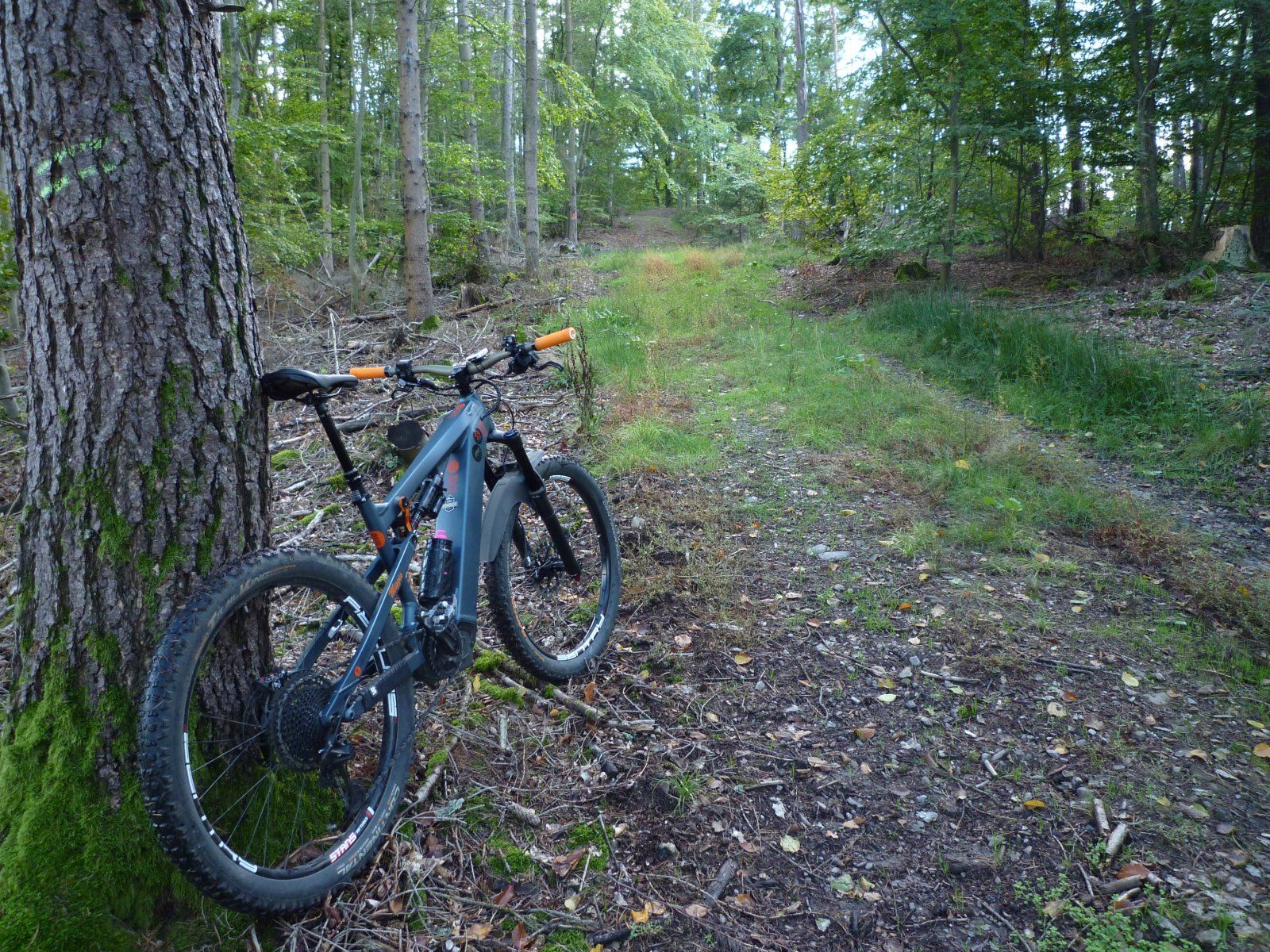 P1020440.JPG