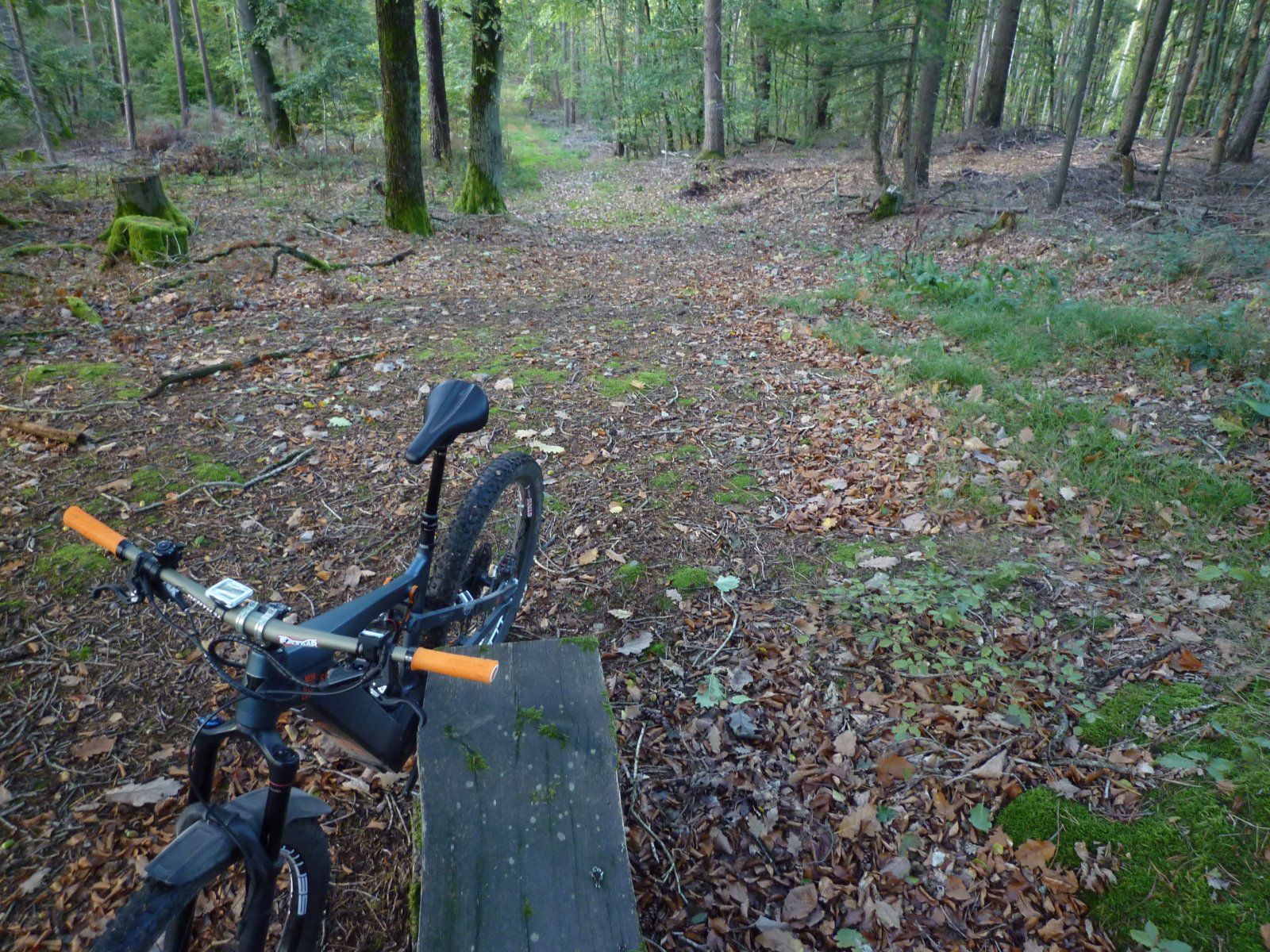P1020442.JPG