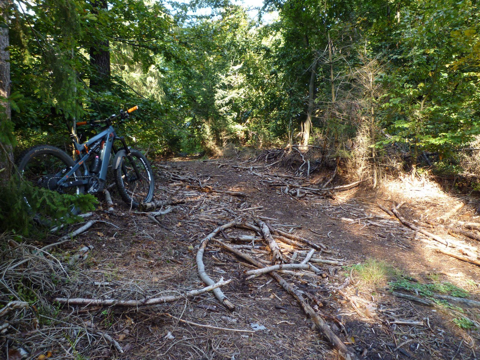 P1020444.JPG