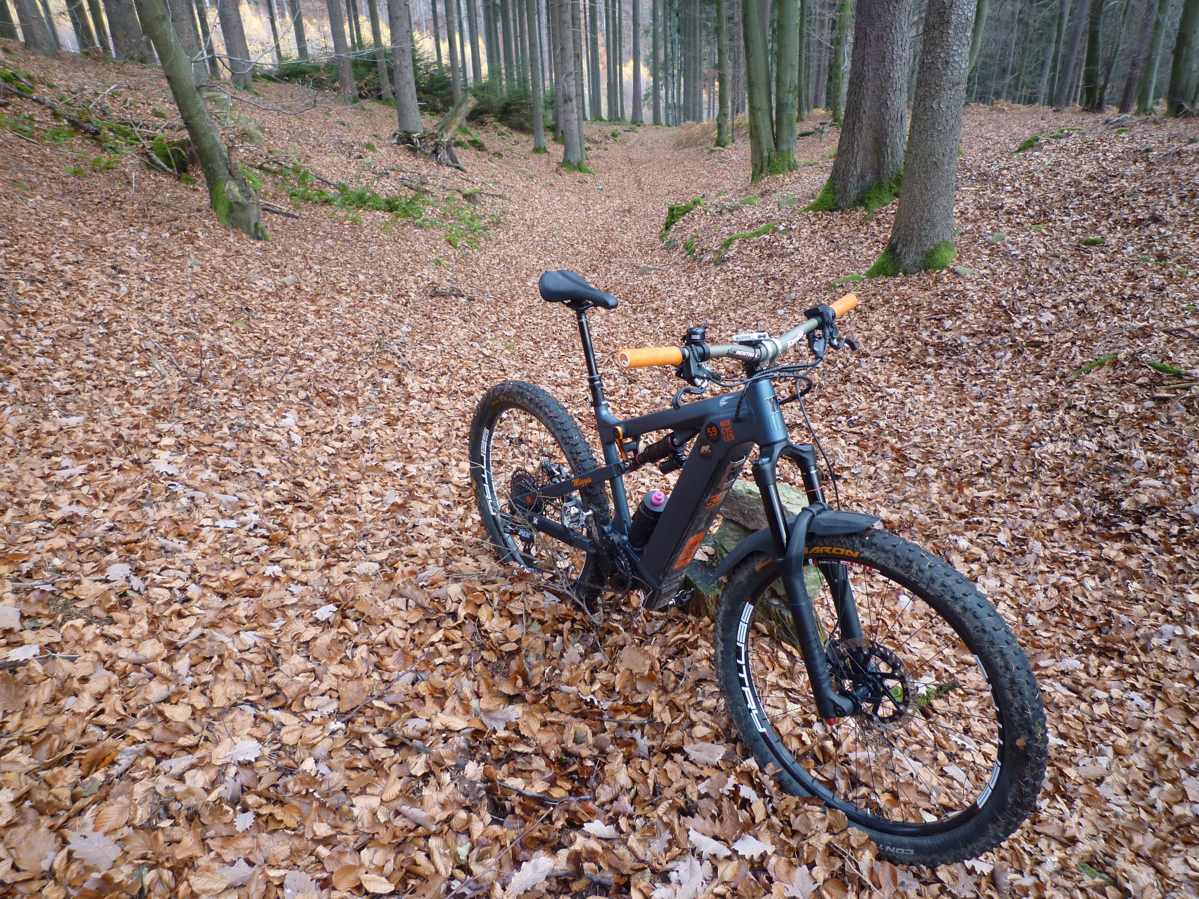 P1020477.JPG