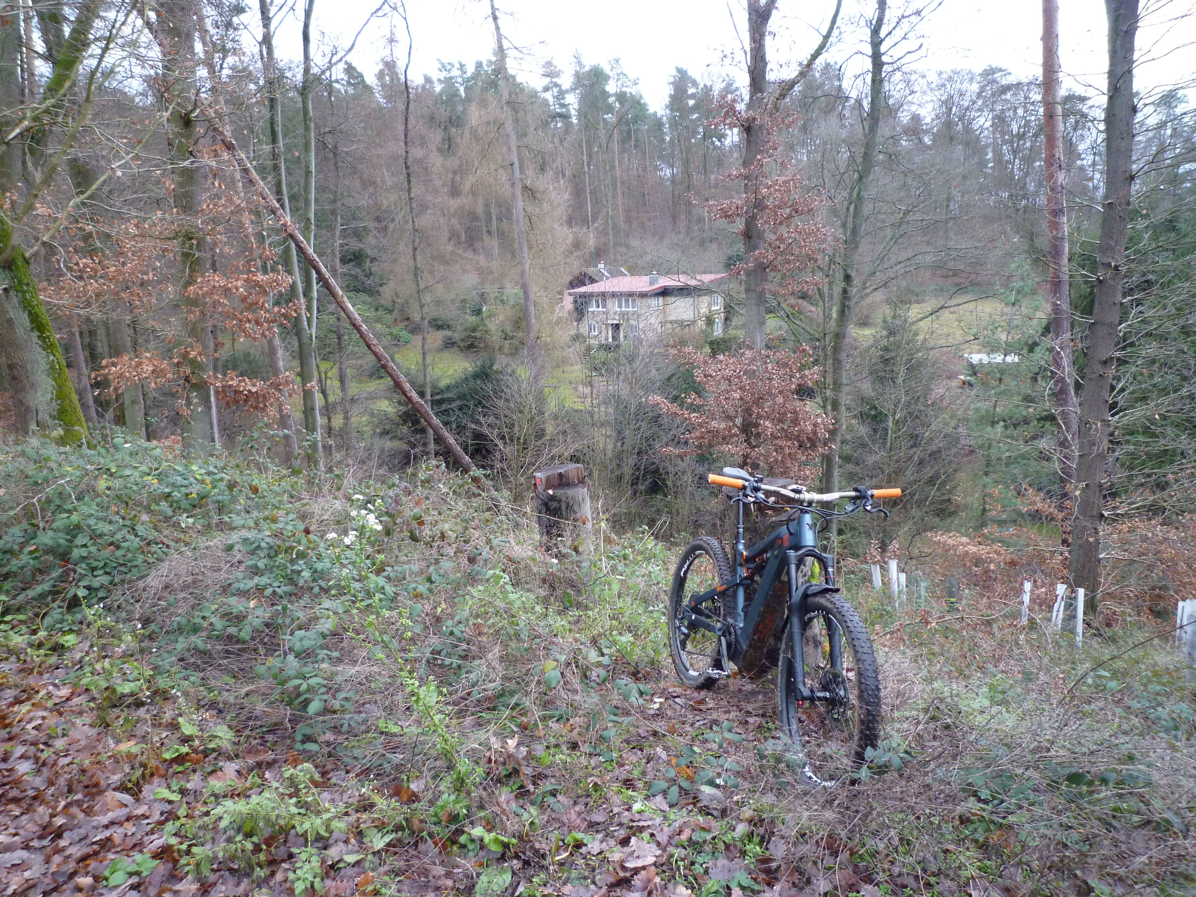 P1020486.JPG