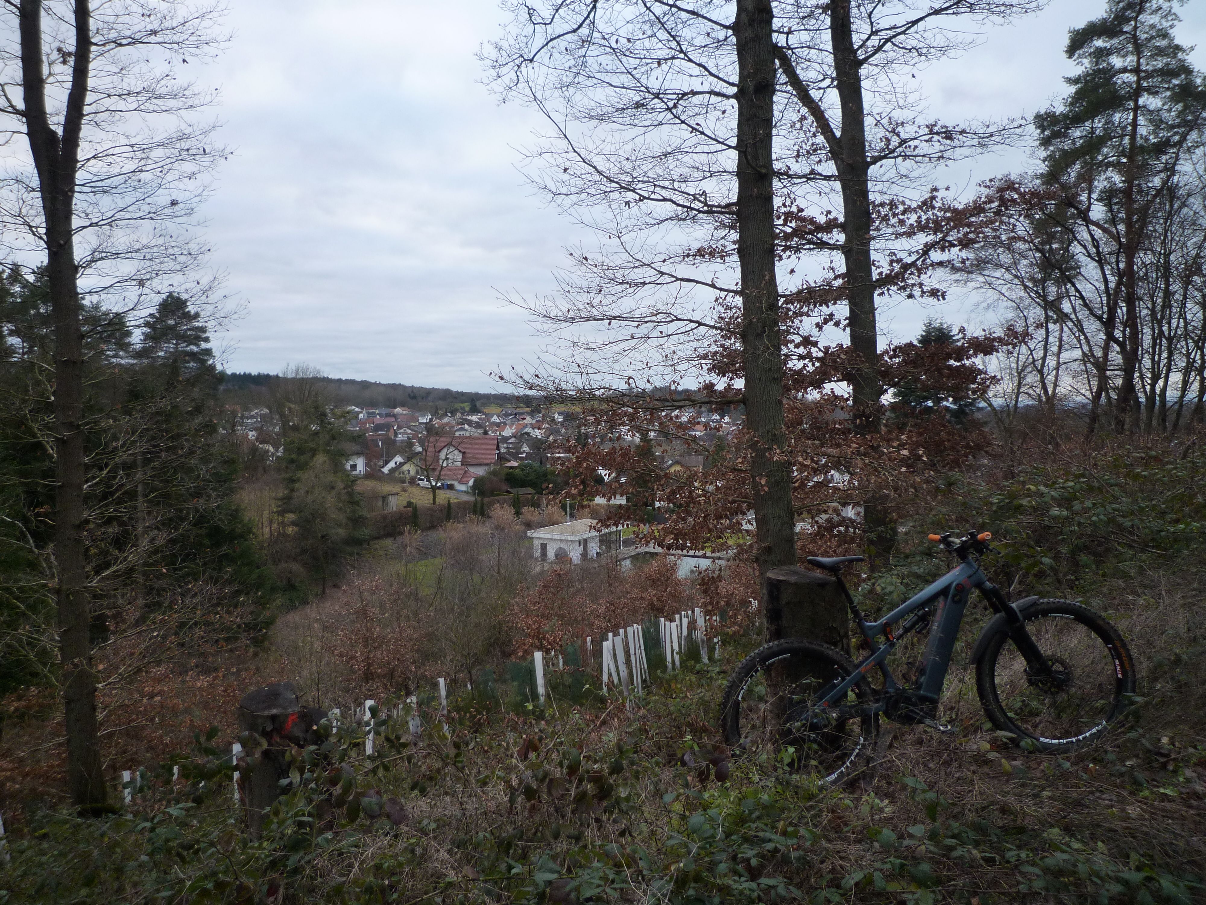 P1020487.JPG
