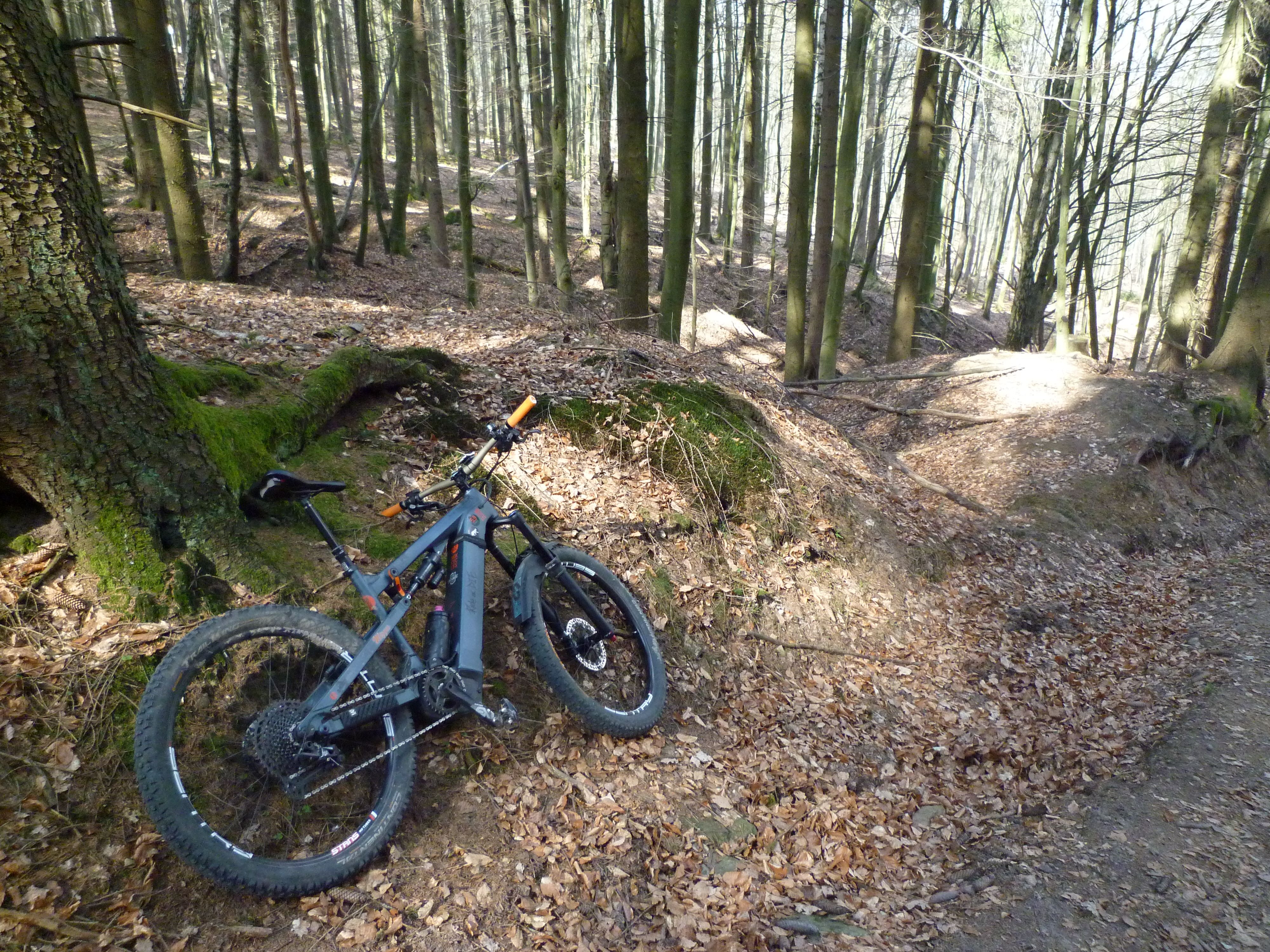 P1020532.JPG