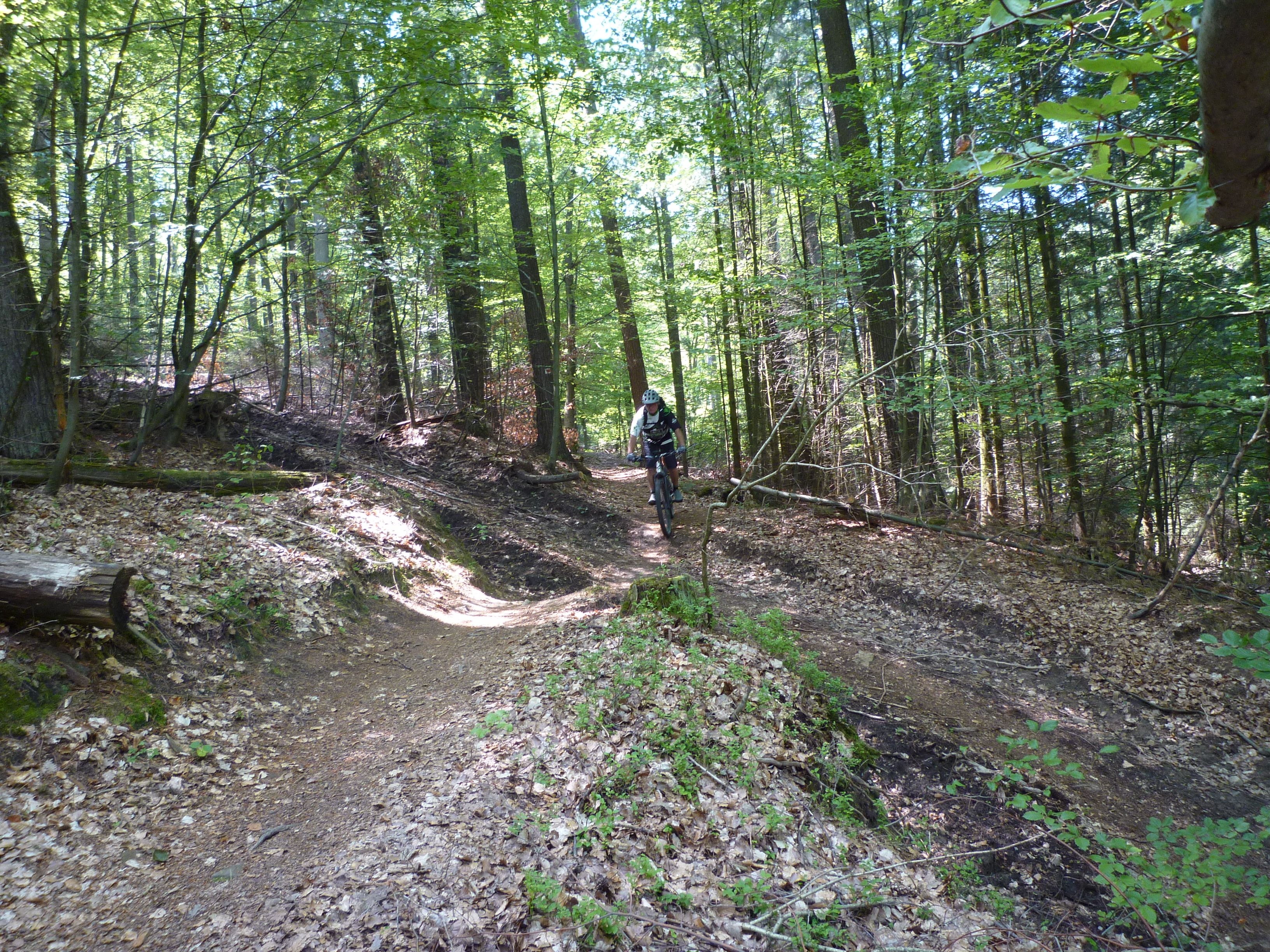 P1020657.JPG
