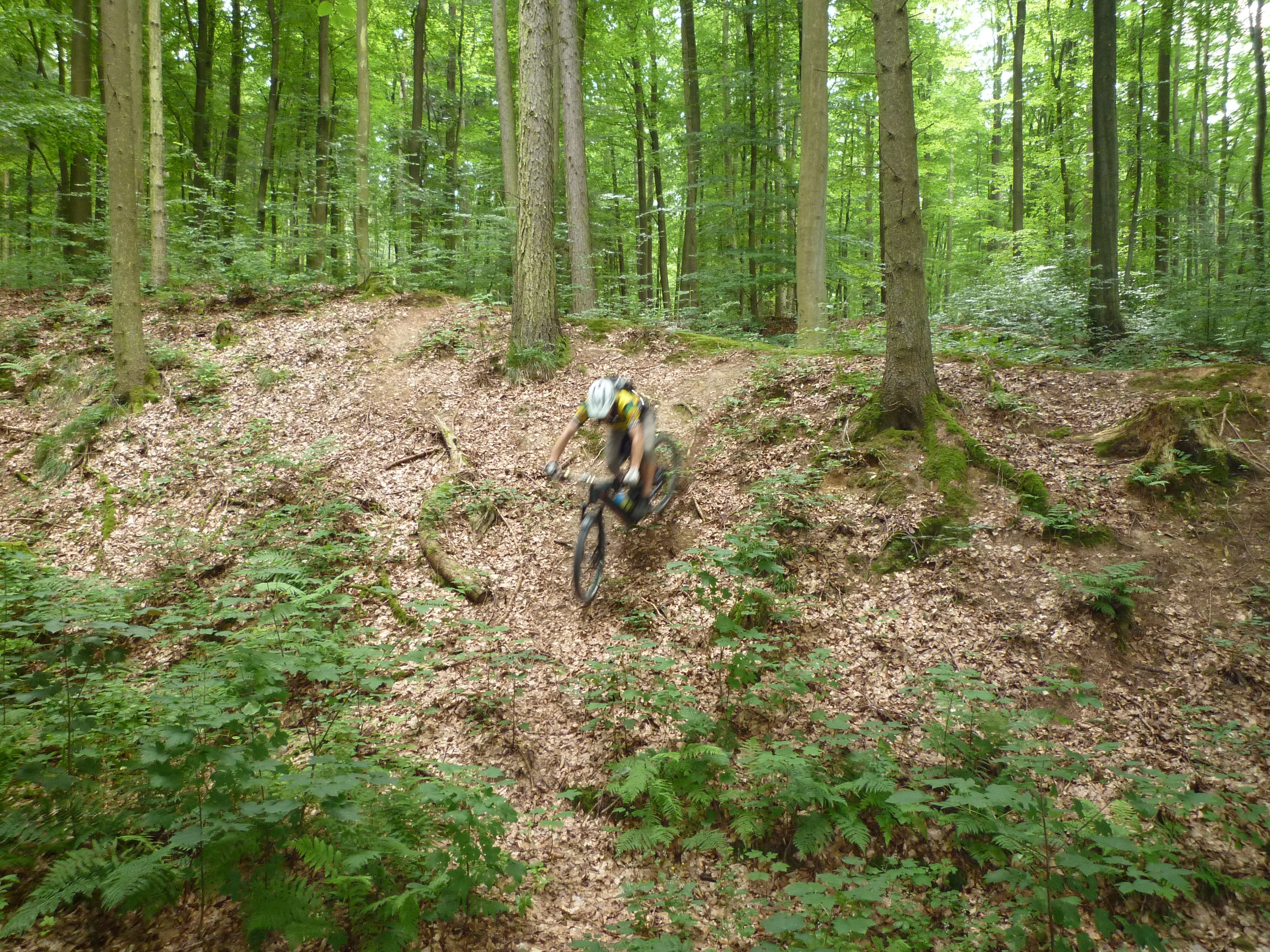 P1020675.JPG