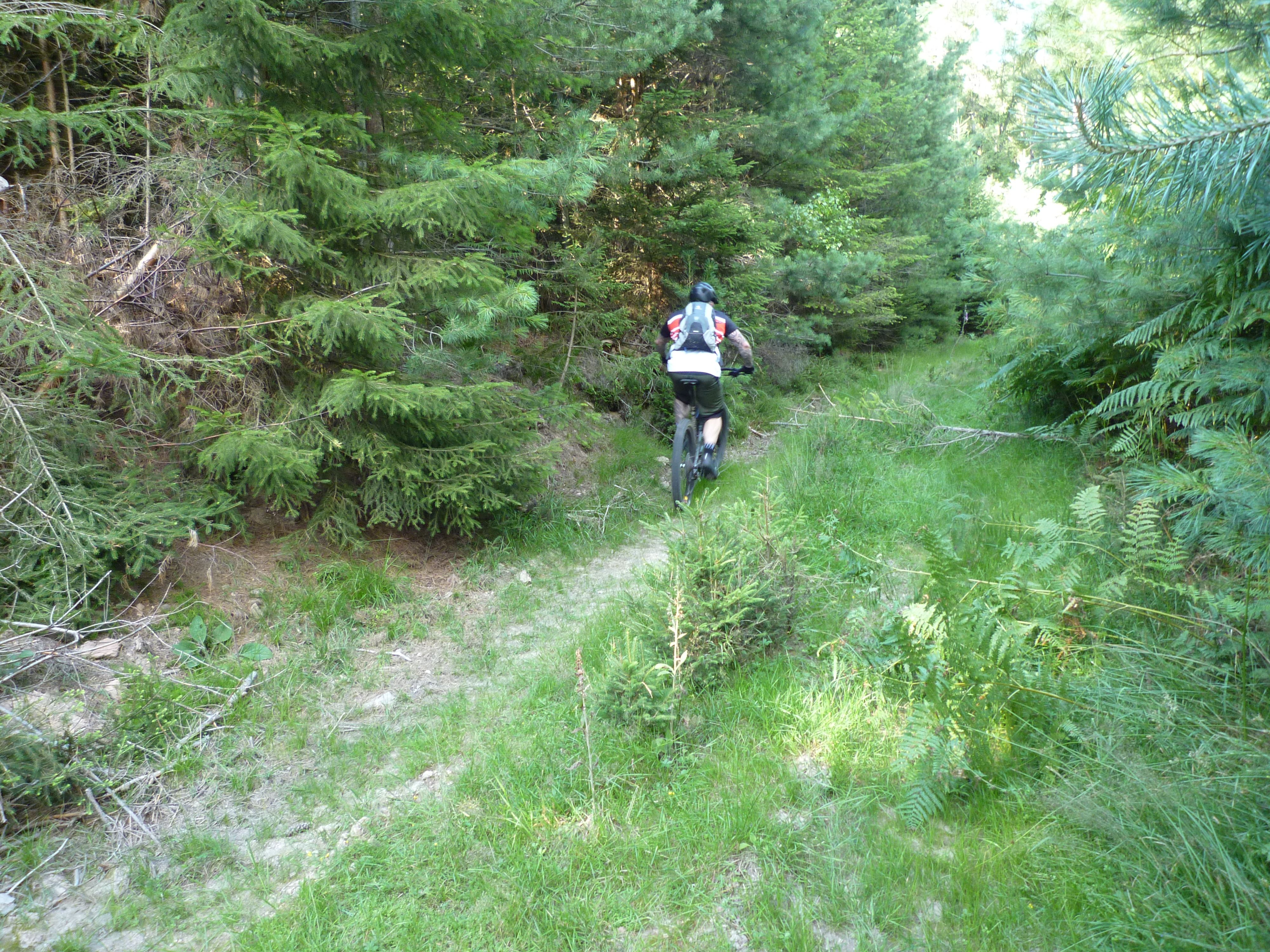 P1020682.JPG