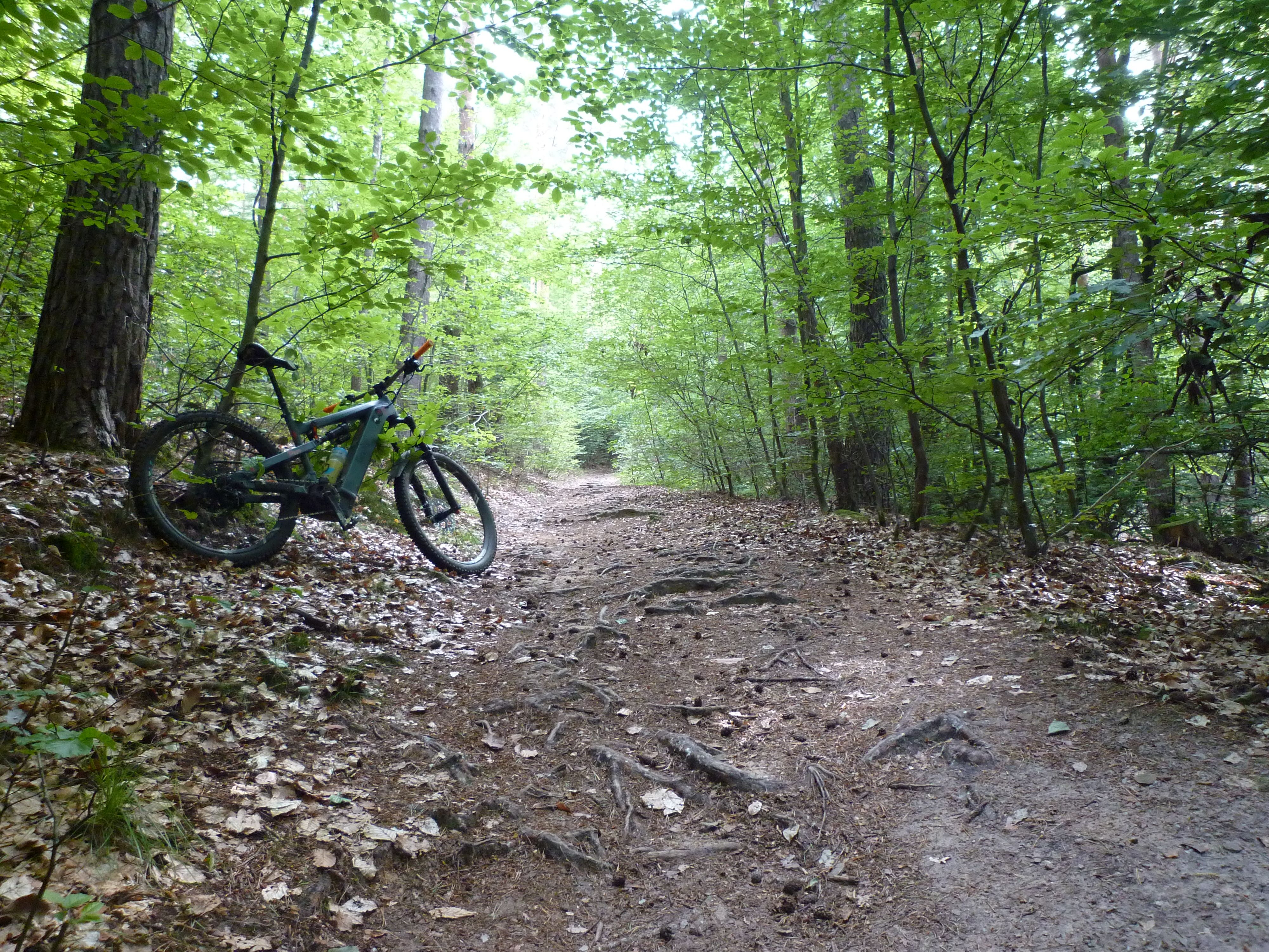 P1020691.JPG