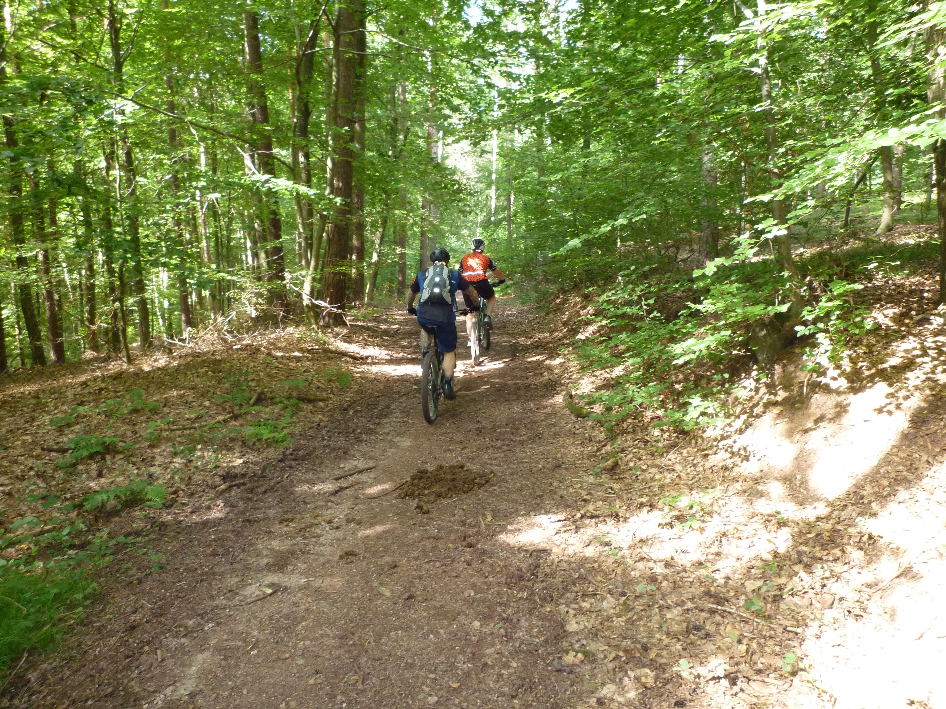 P1020721.JPG