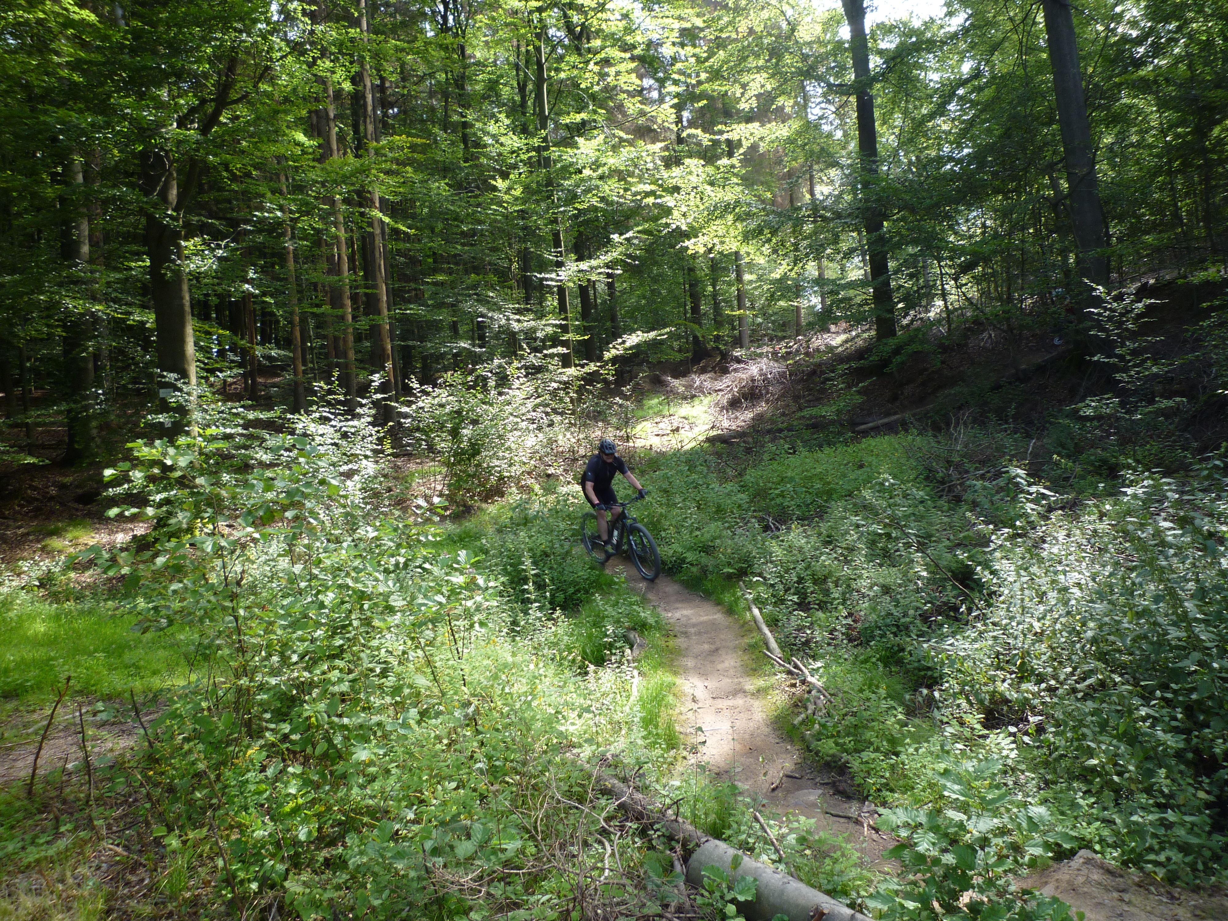 P1020723.JPG