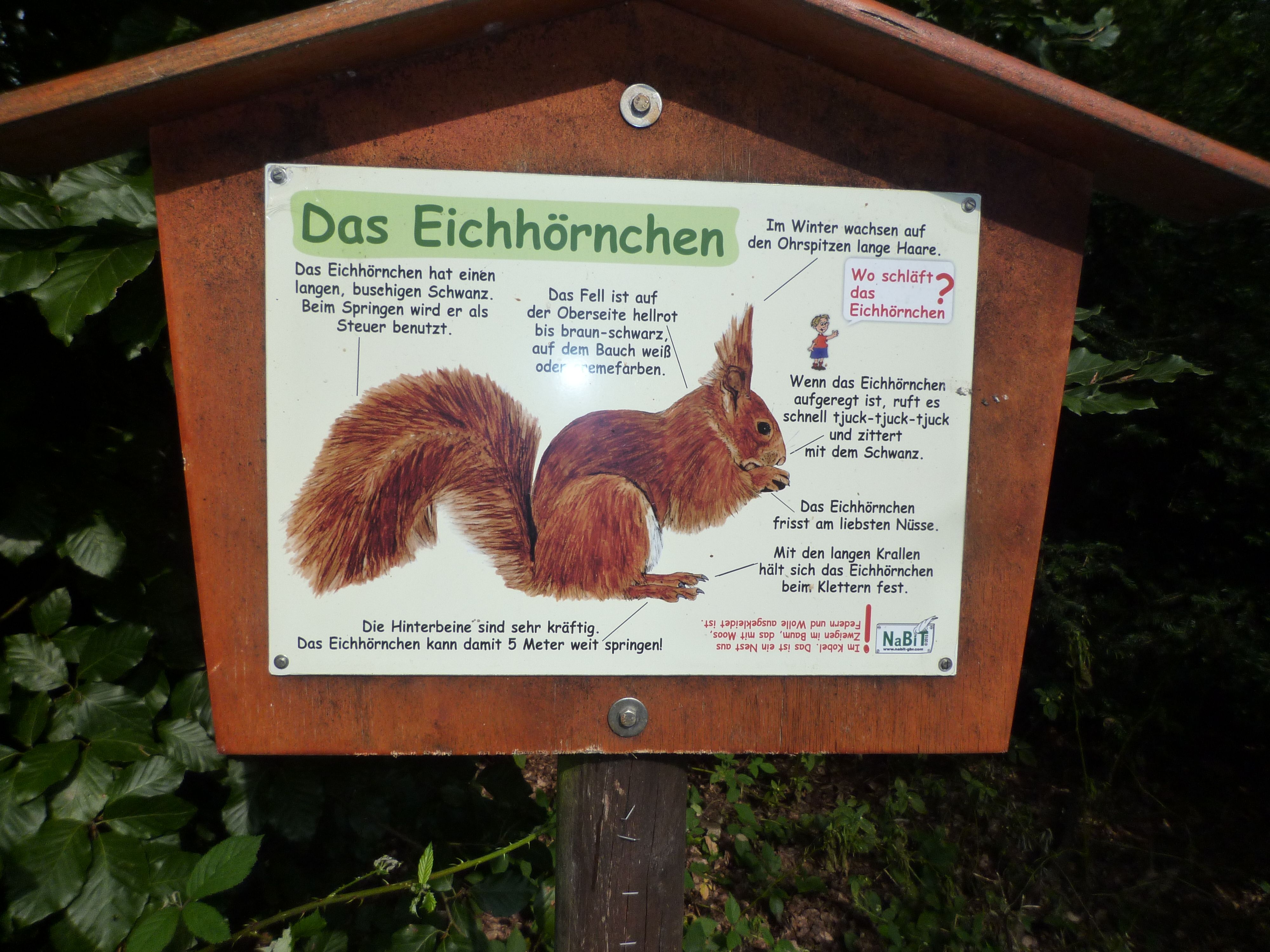 P1020734.JPG