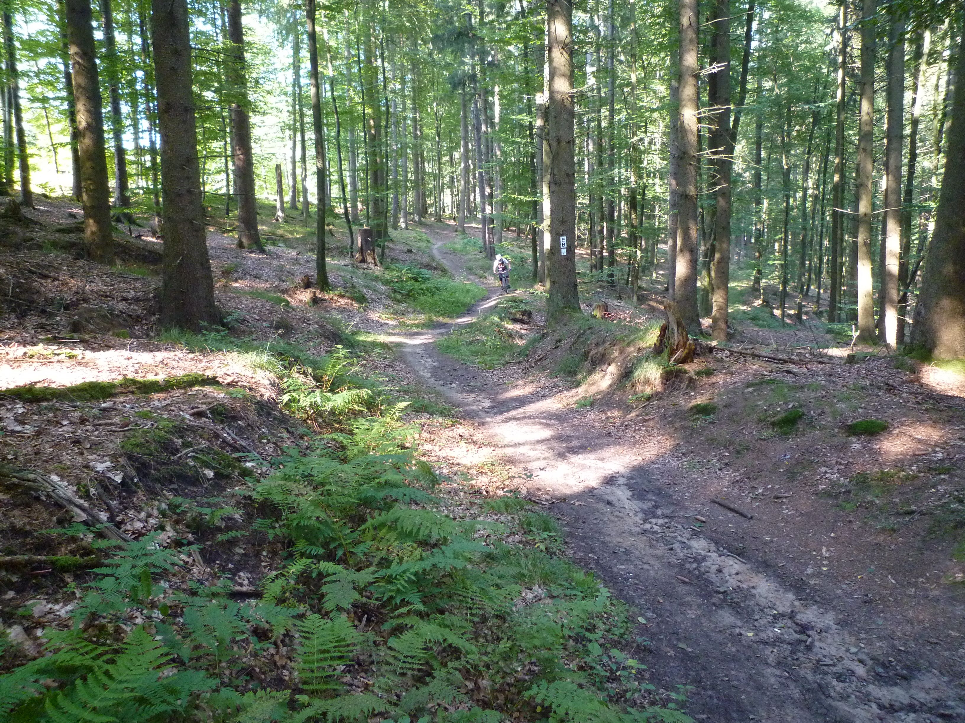 P1020749.JPG