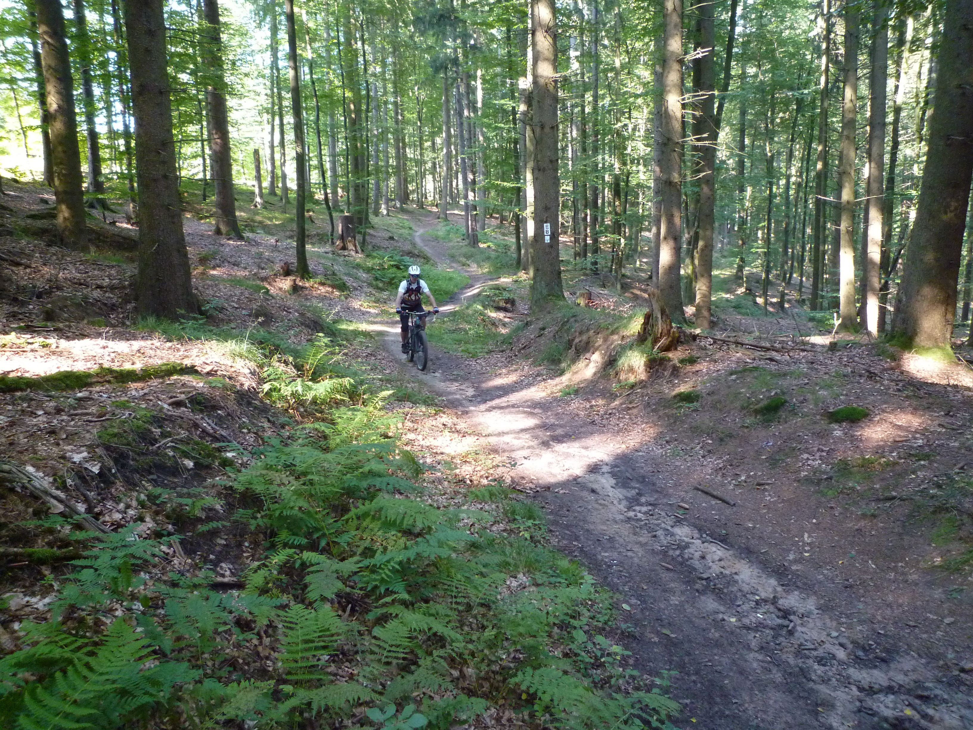 P1020750.JPG