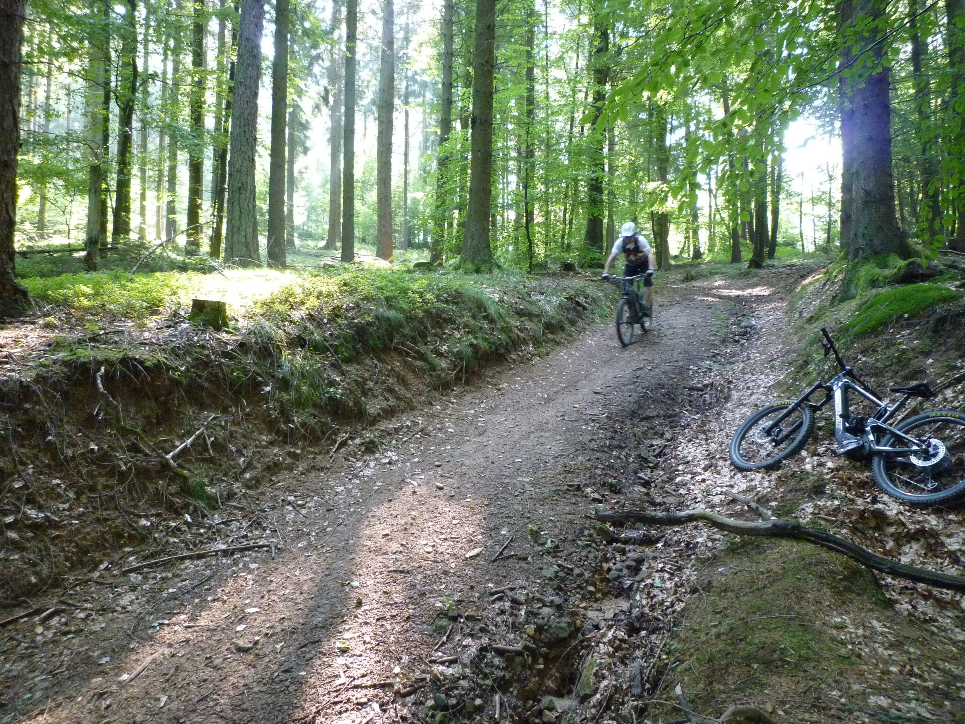 P1020752.JPG