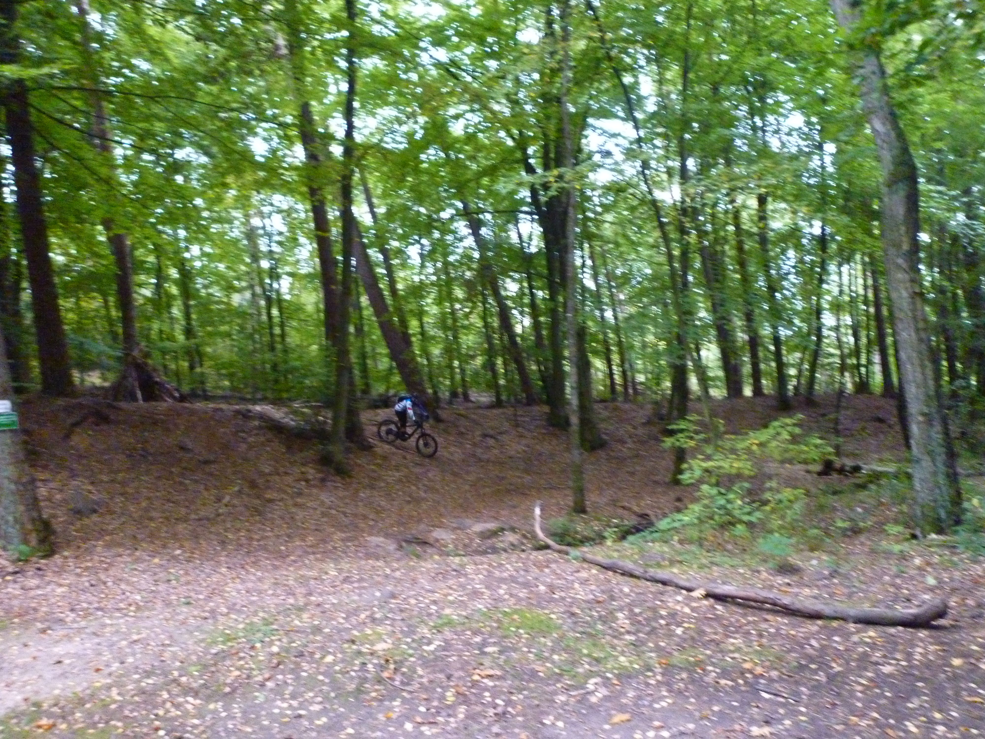 P1020804.JPG