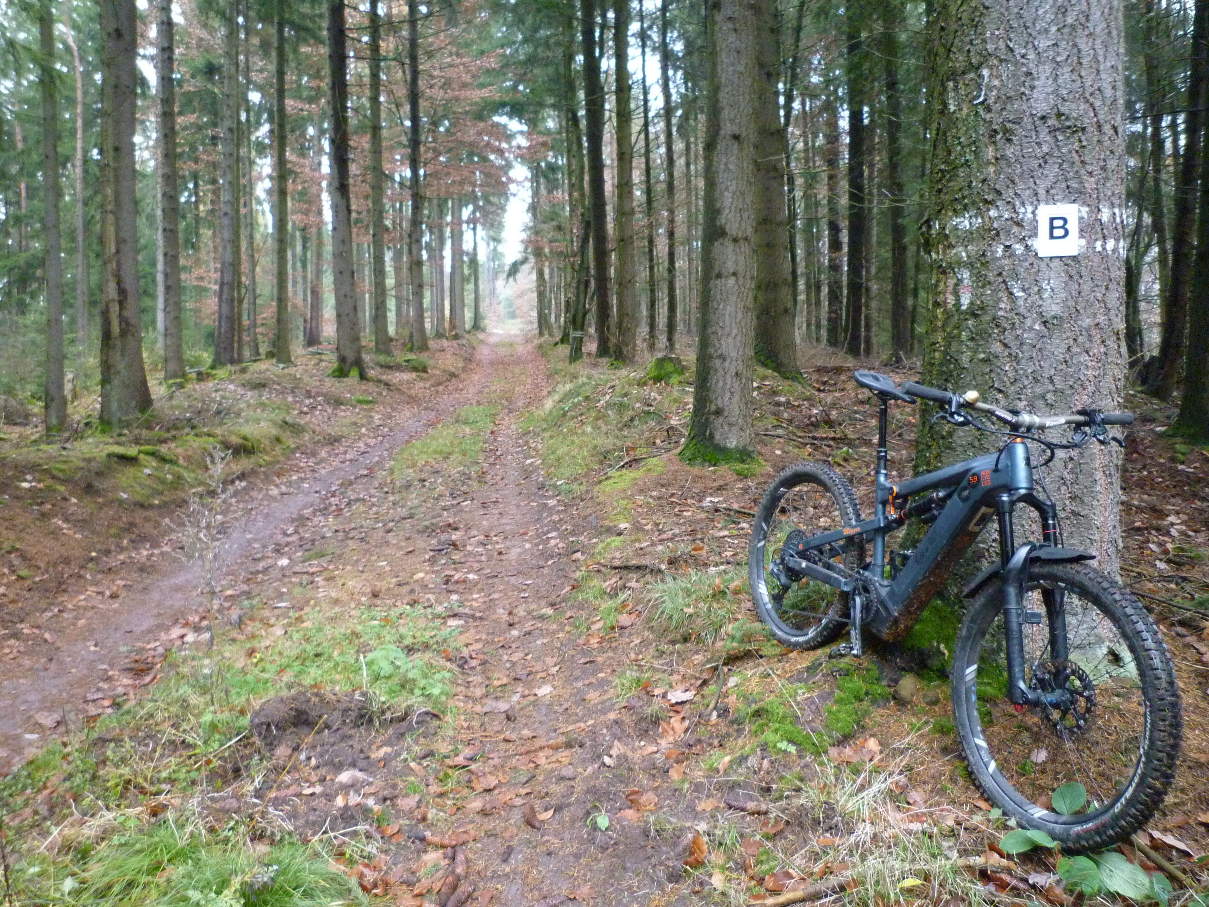 P1020838.JPG